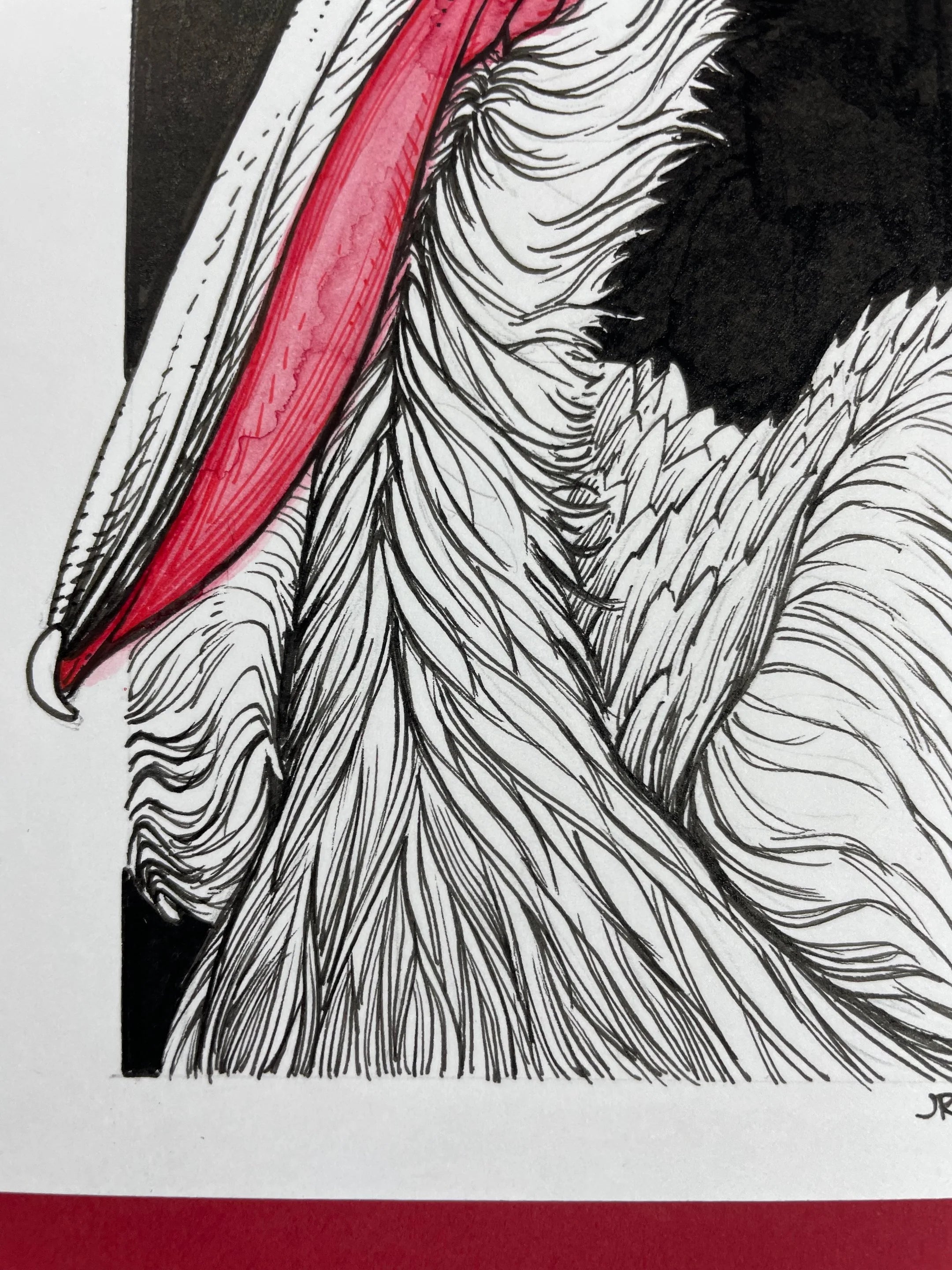 Zooctober 2024, Day 28: “Dalmatian Pelican”