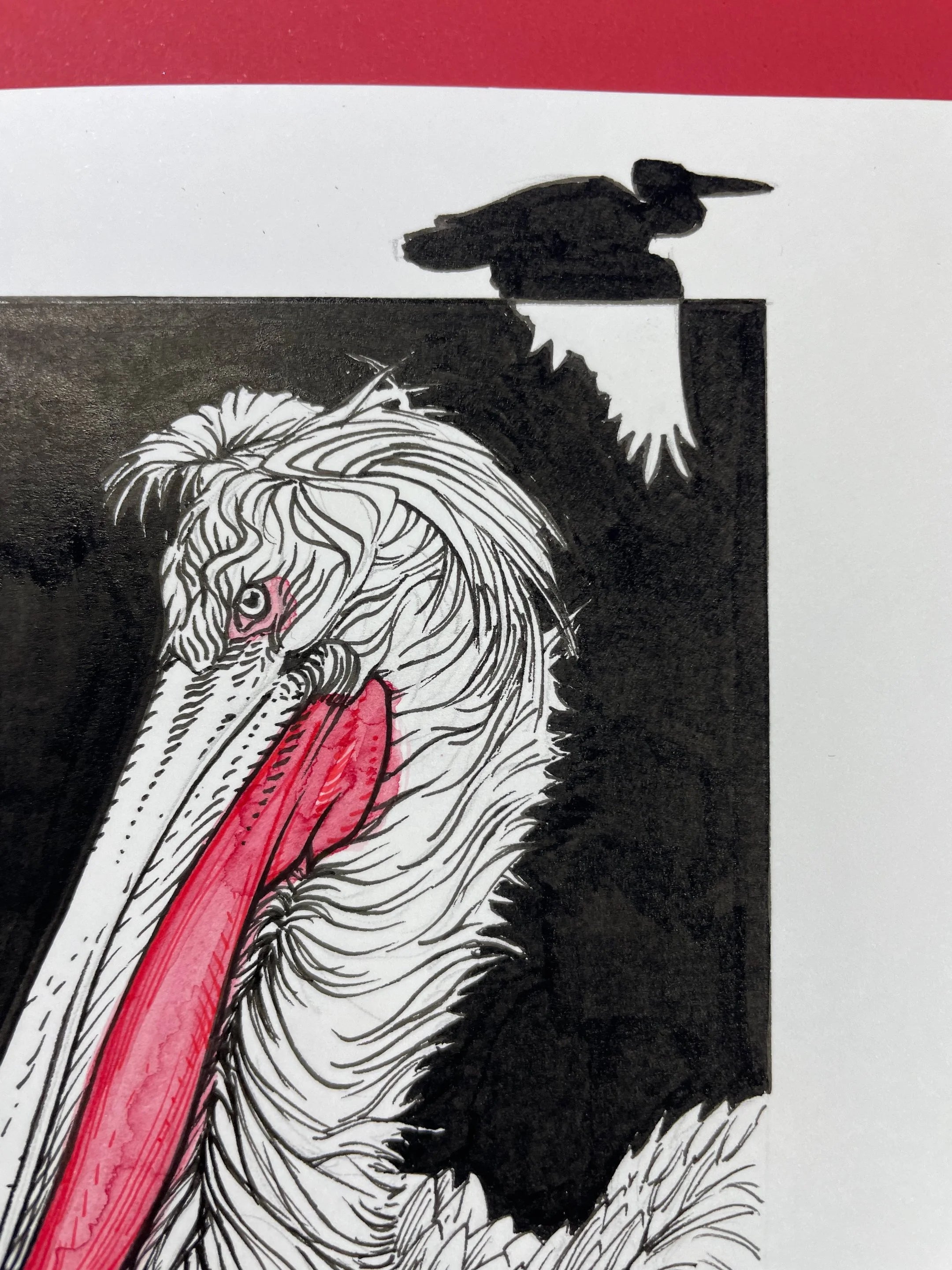 Zooctober 2024, Day 28: “Dalmatian Pelican”