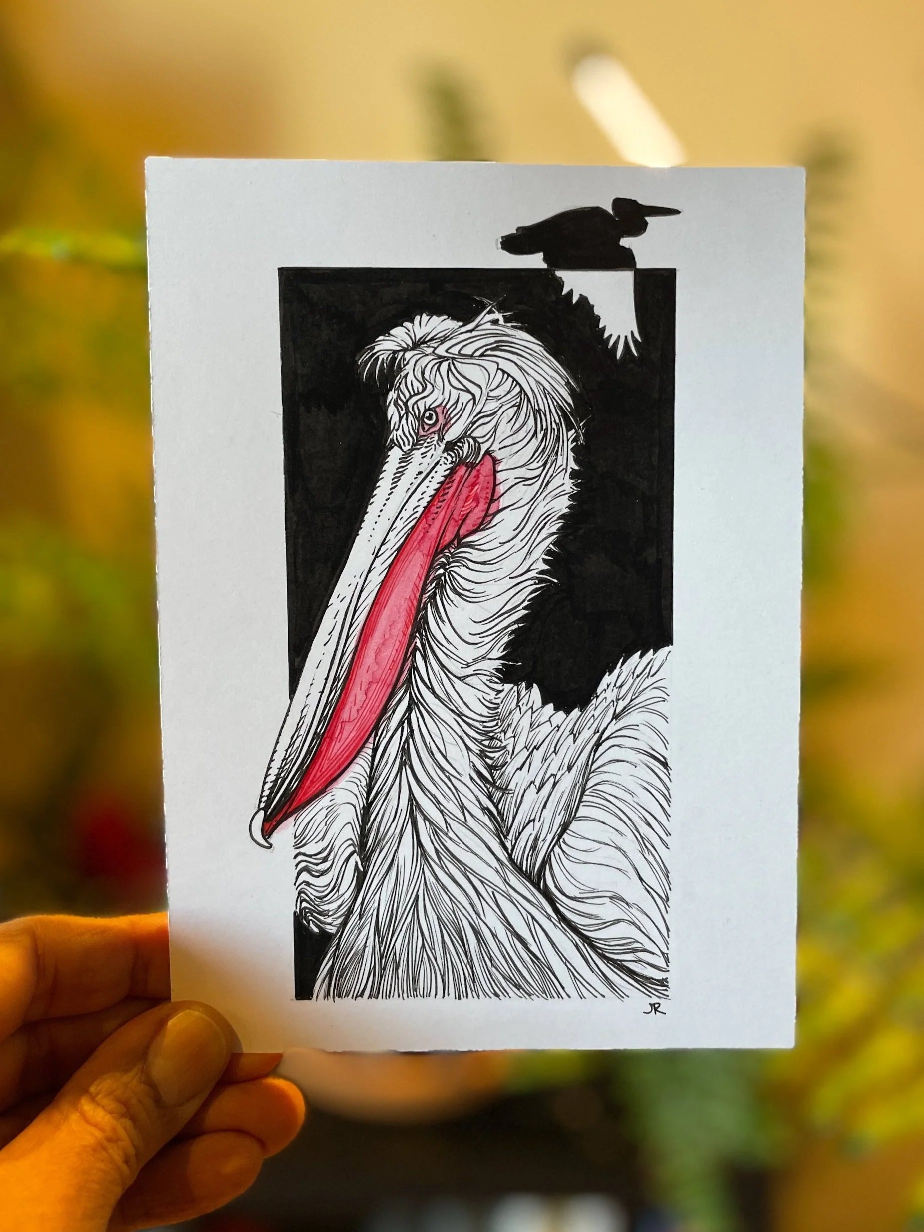 Zooctober 2024, Day 28: “Dalmatian Pelican”