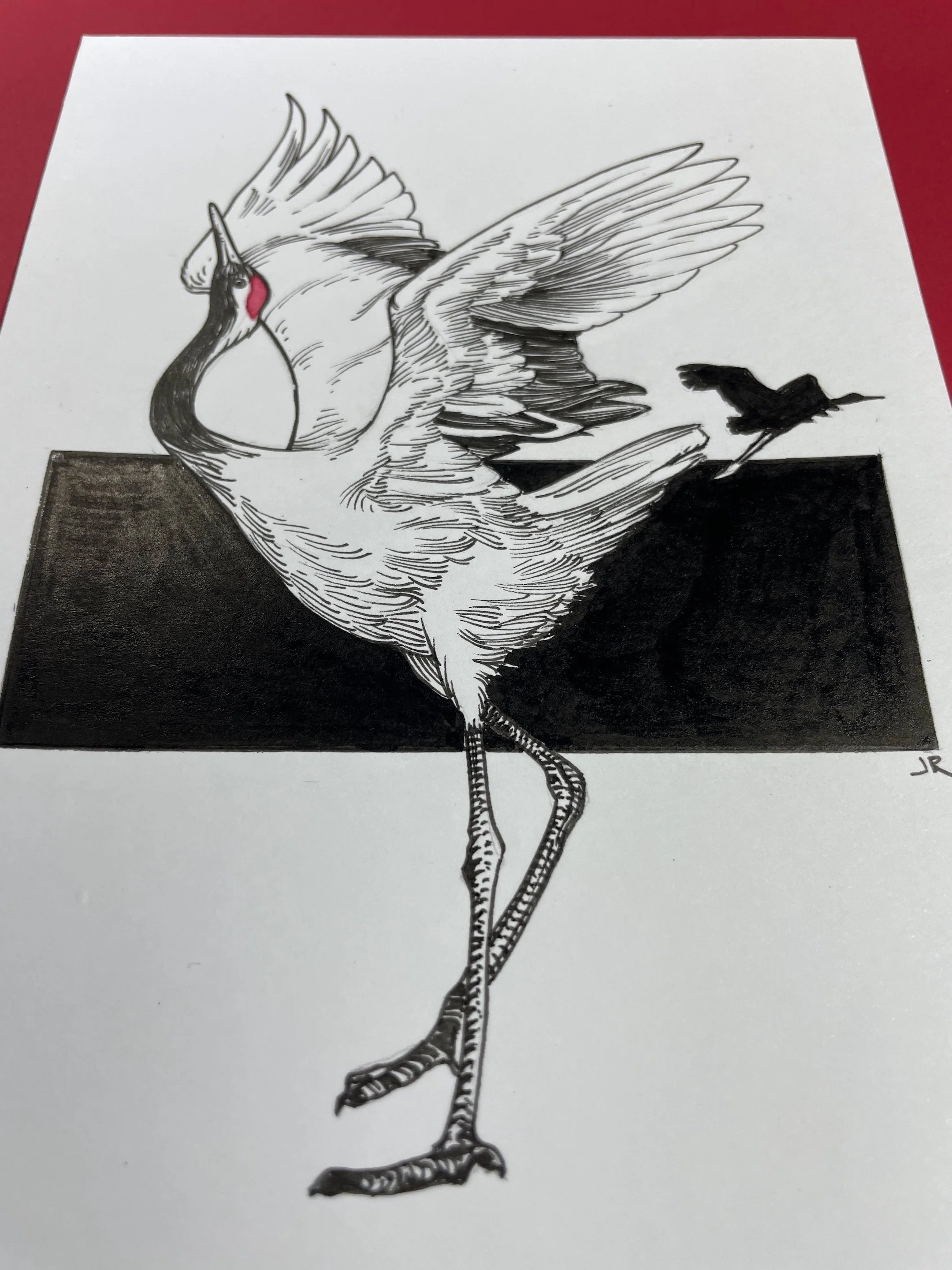 Zooctober 2024, Day 29: “Red-Crowned Crane”