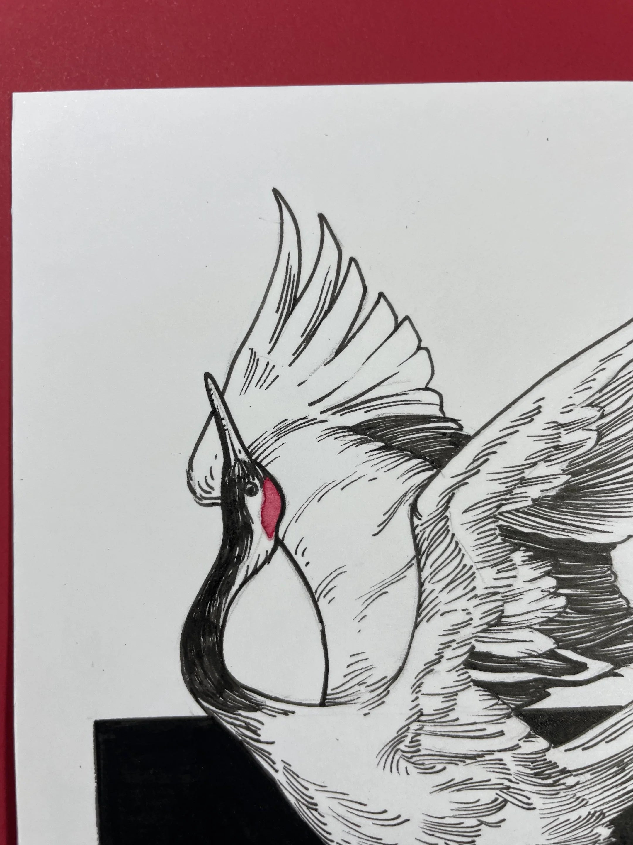 Zooctober 2024, Day 29: “Red-Crowned Crane”