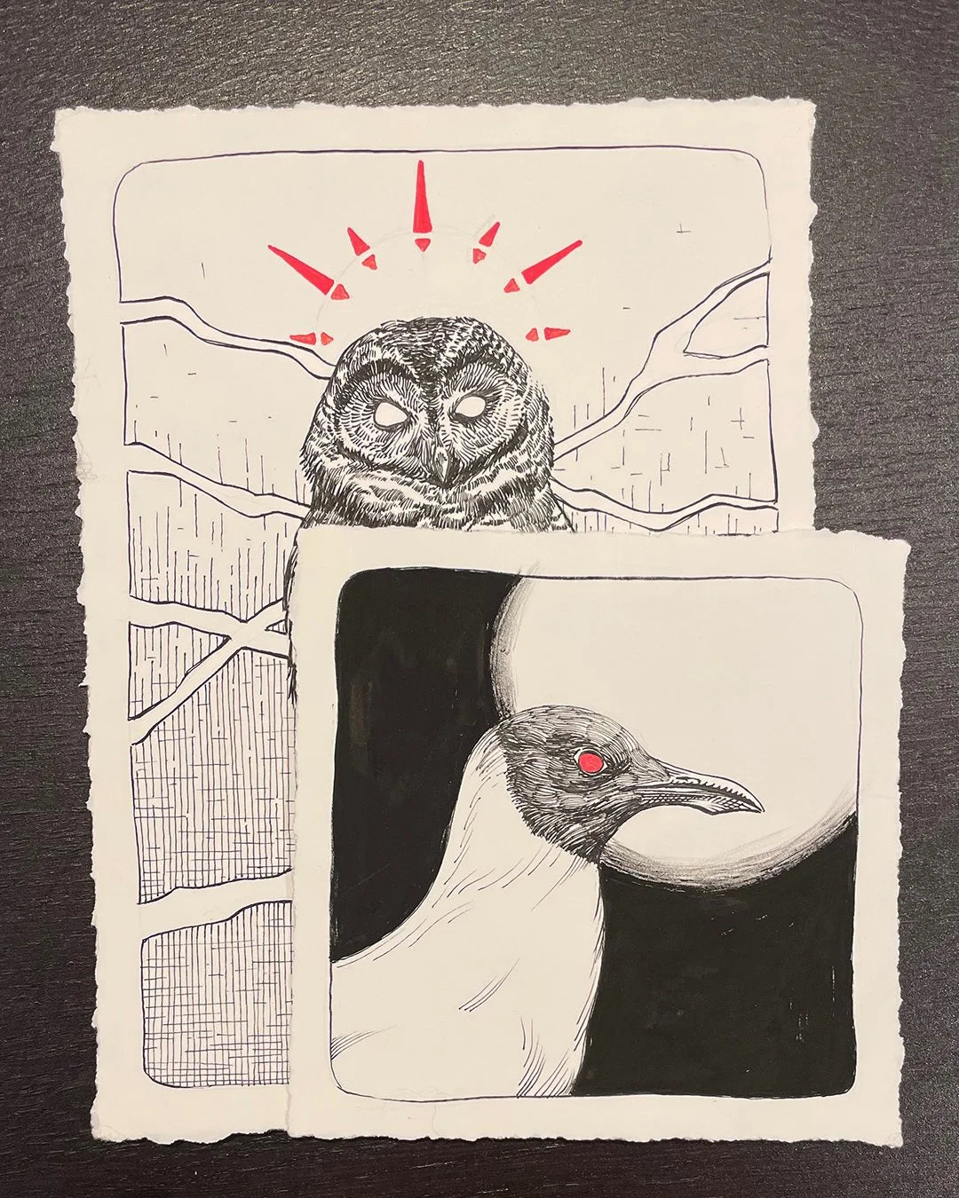 Bespoke Original Bird/Animal Drawing (B.O.B.A.D.)