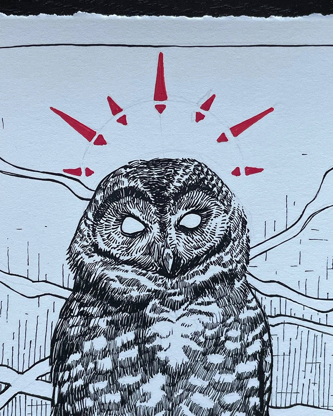 Bespoke Original Bird/Animal Drawing (B.O.B.A.D.)