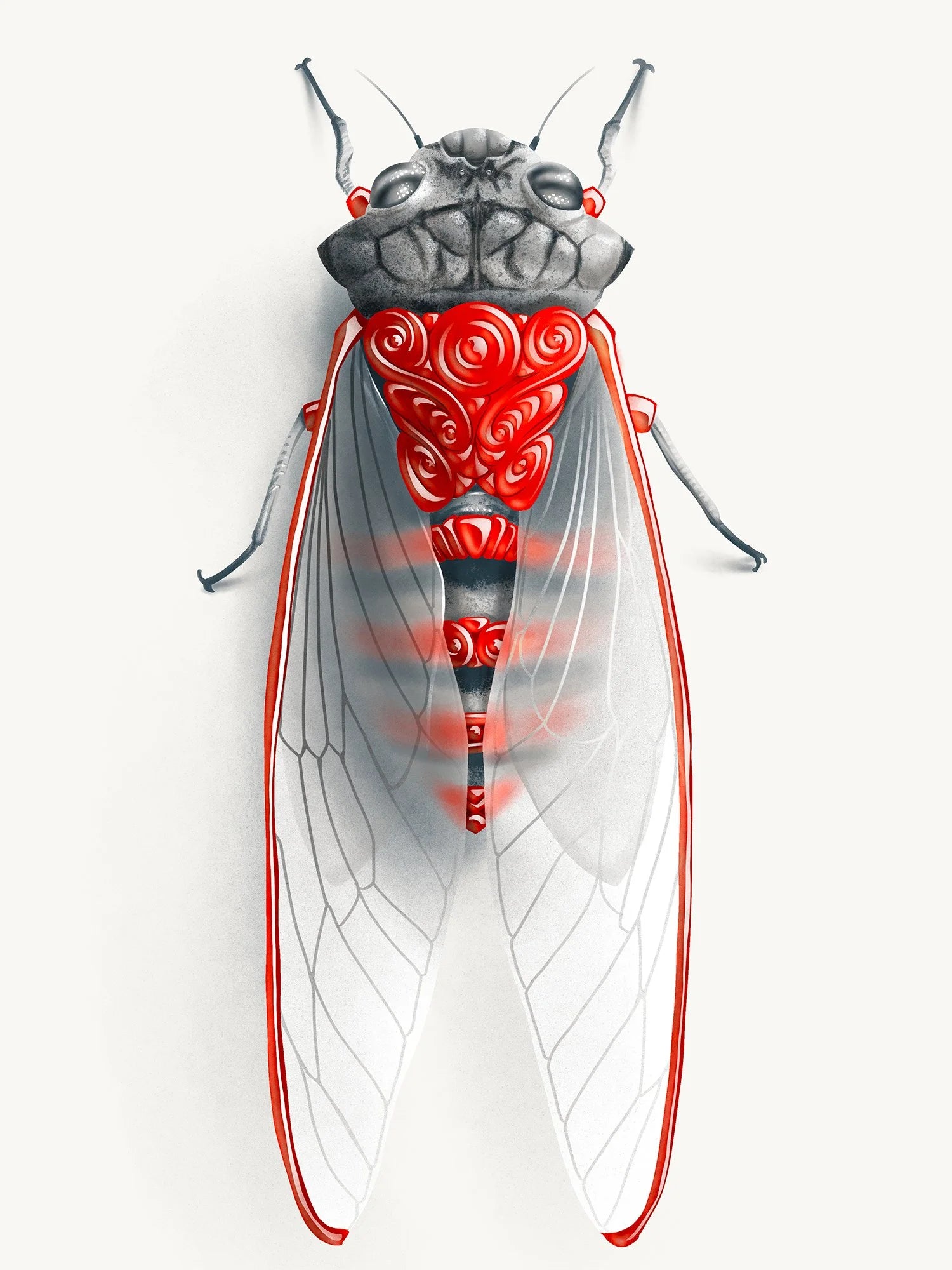Cicada (Candied Critters)
