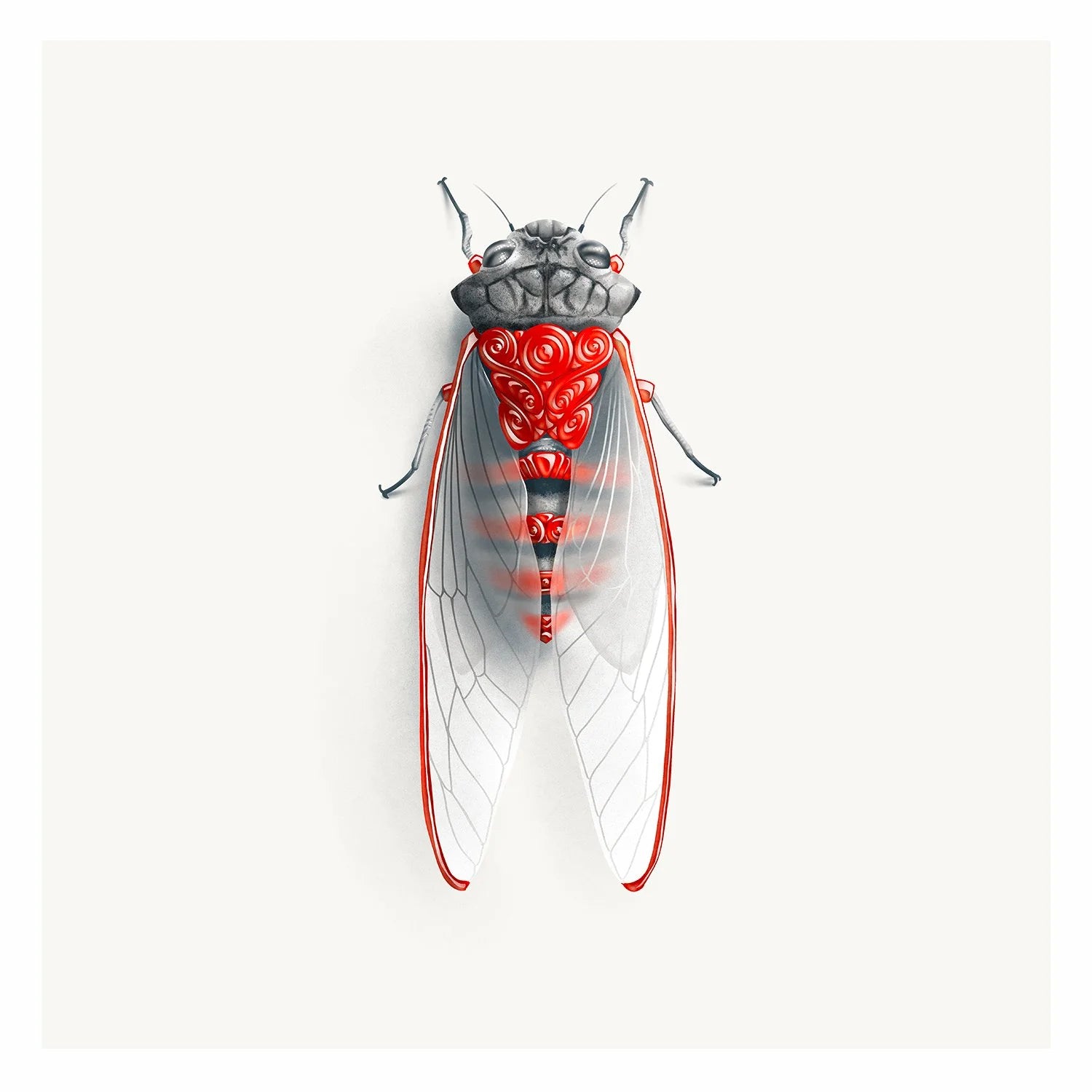 Cicada (Candied Critters)