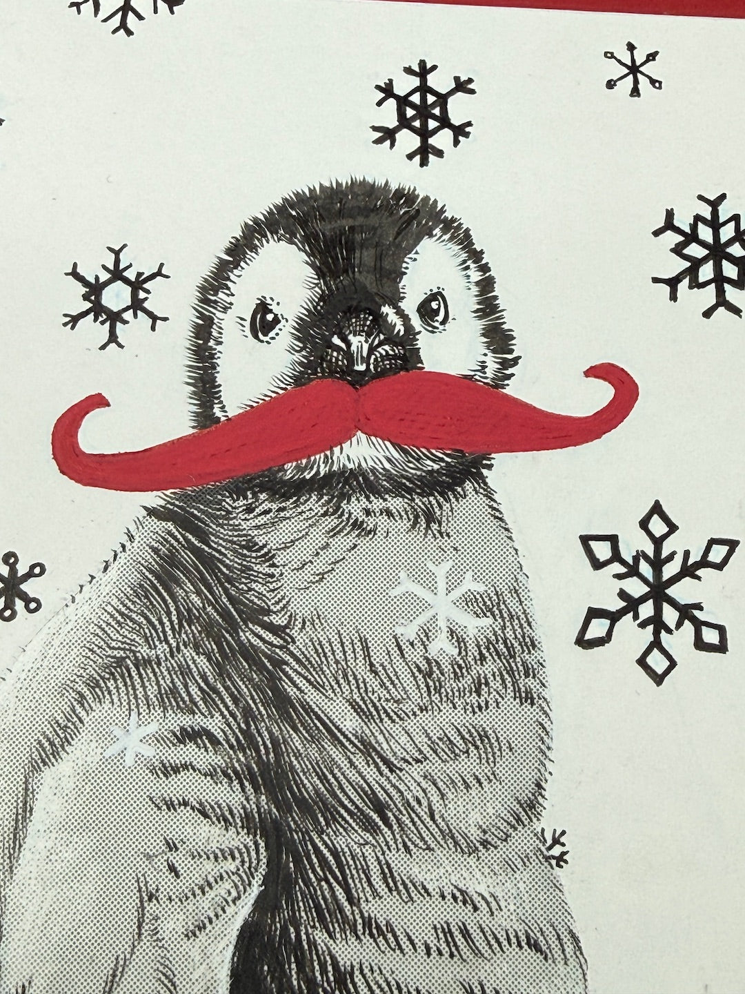 Zooctober 2025-Day 1: "Moustache"