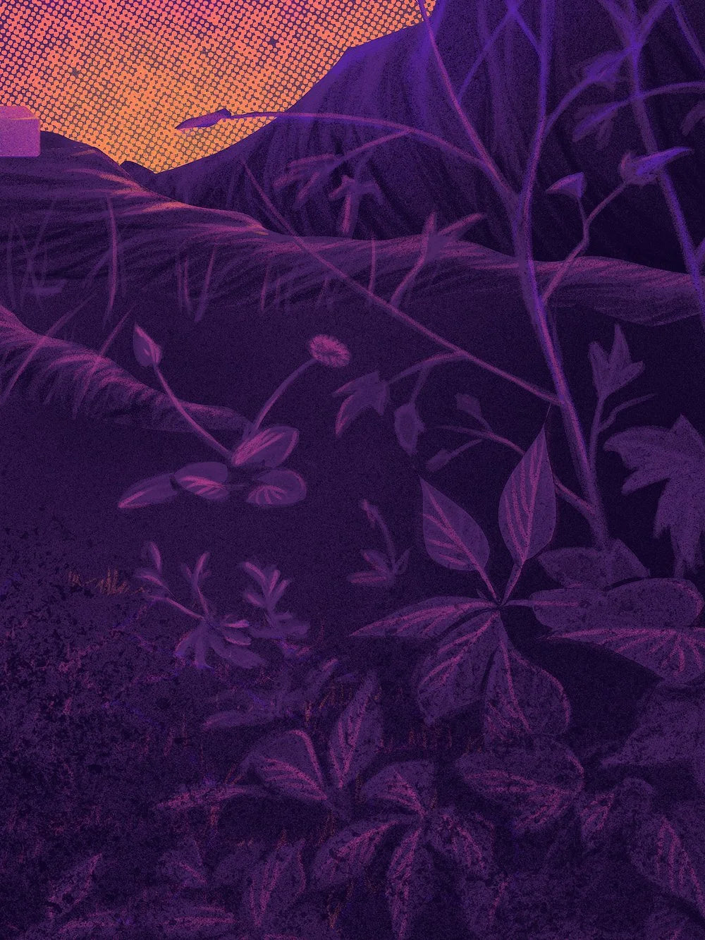 In the land of the lotus eaters...