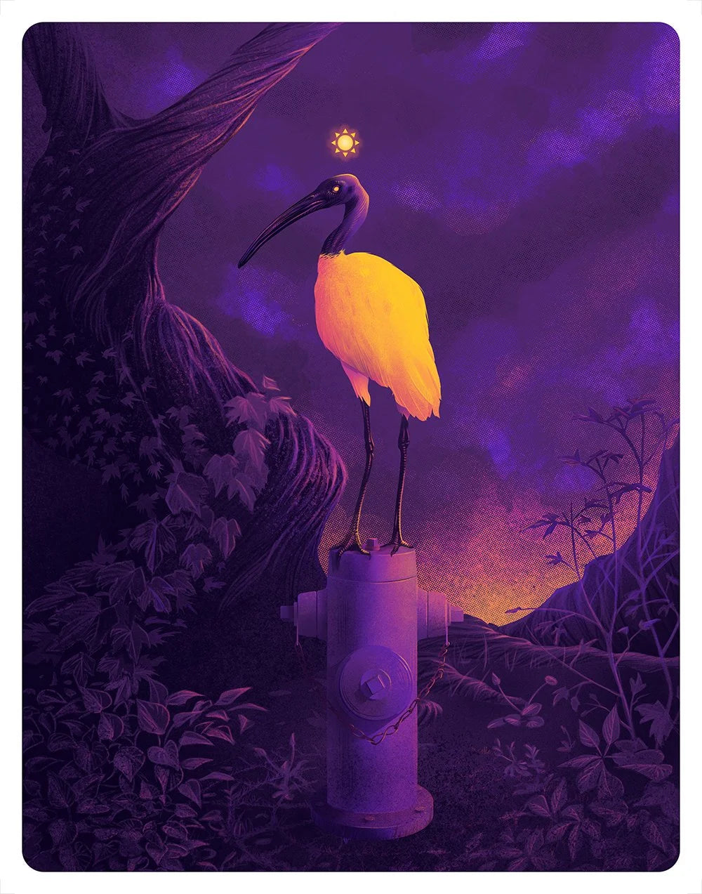 In the land of the lotus eaters...