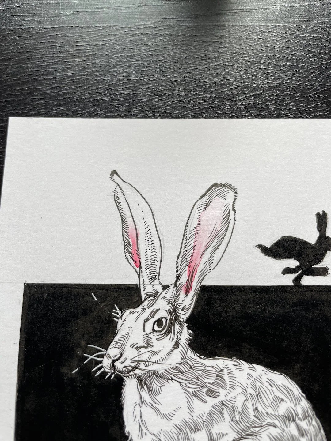 Zooctober 2024, Day 2: “Hare”