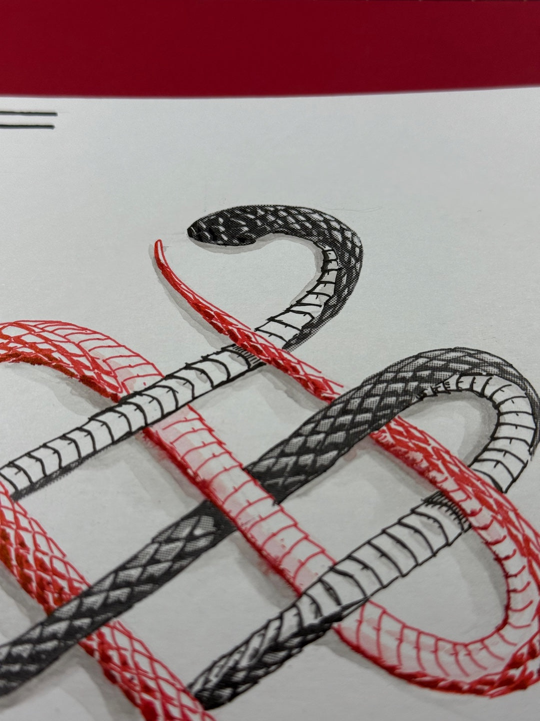 Zooctober 2025-Day 2: "Weave"