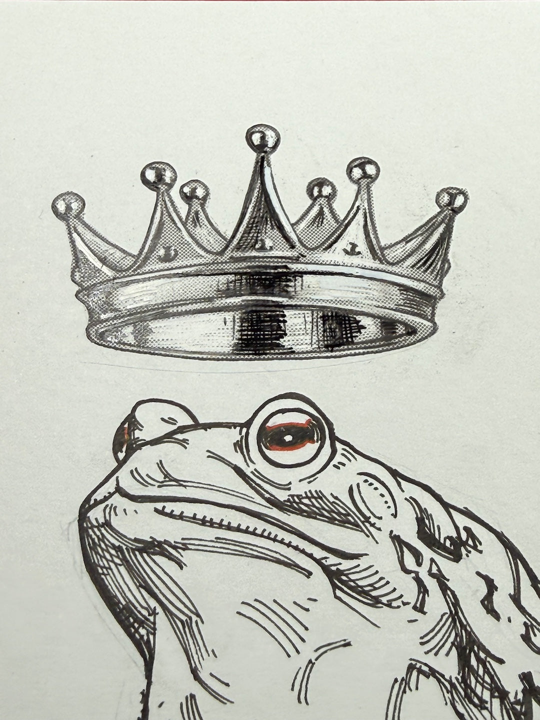 Zooctober 2025-Day 3: “Crown”