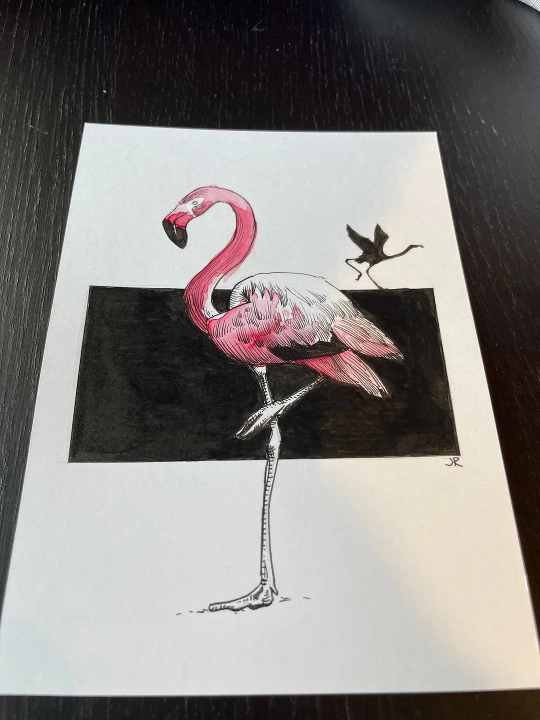 Zooctober 2024, Day 3: “Flamingo”