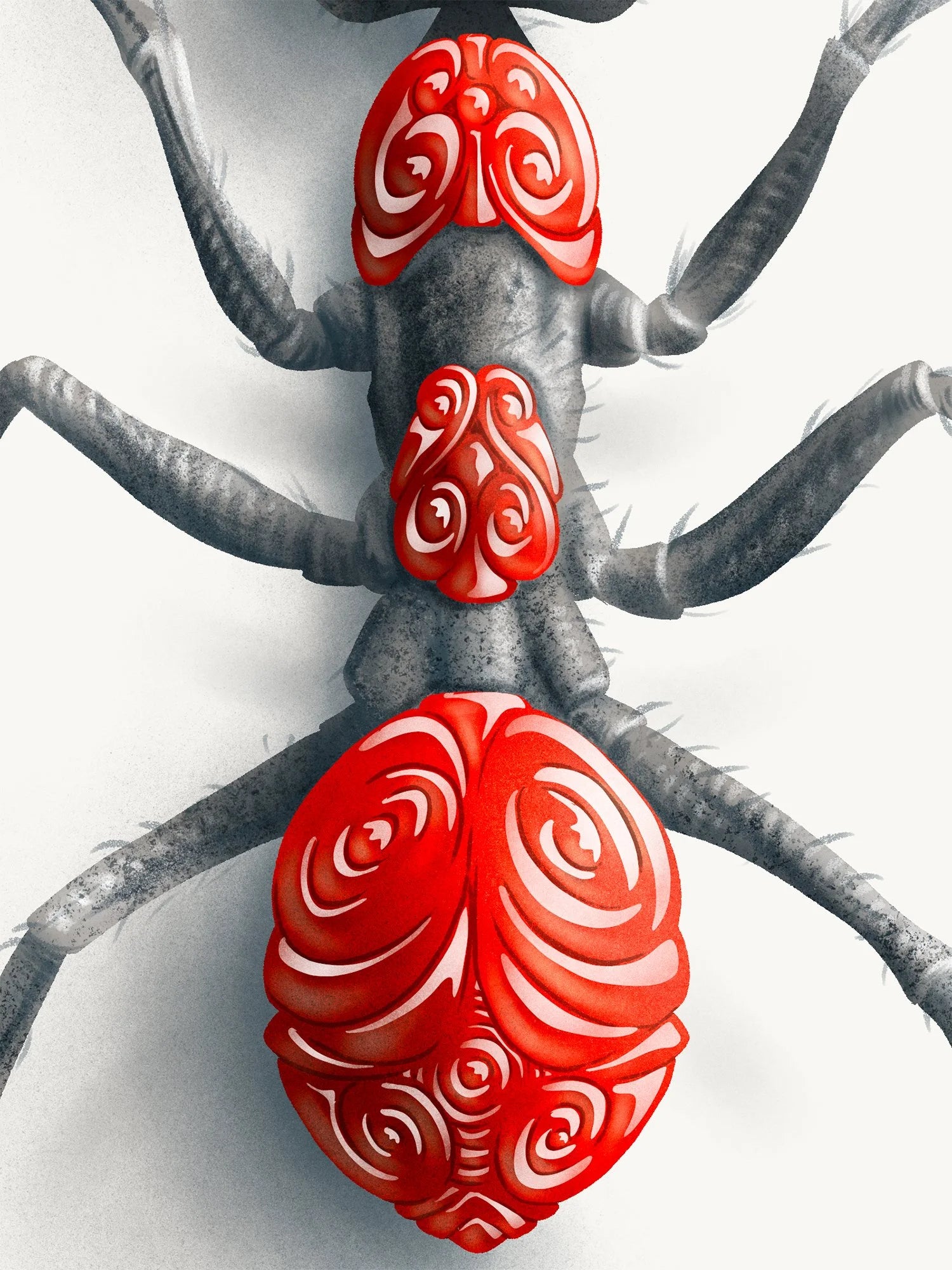 Ant (Candied Critters)