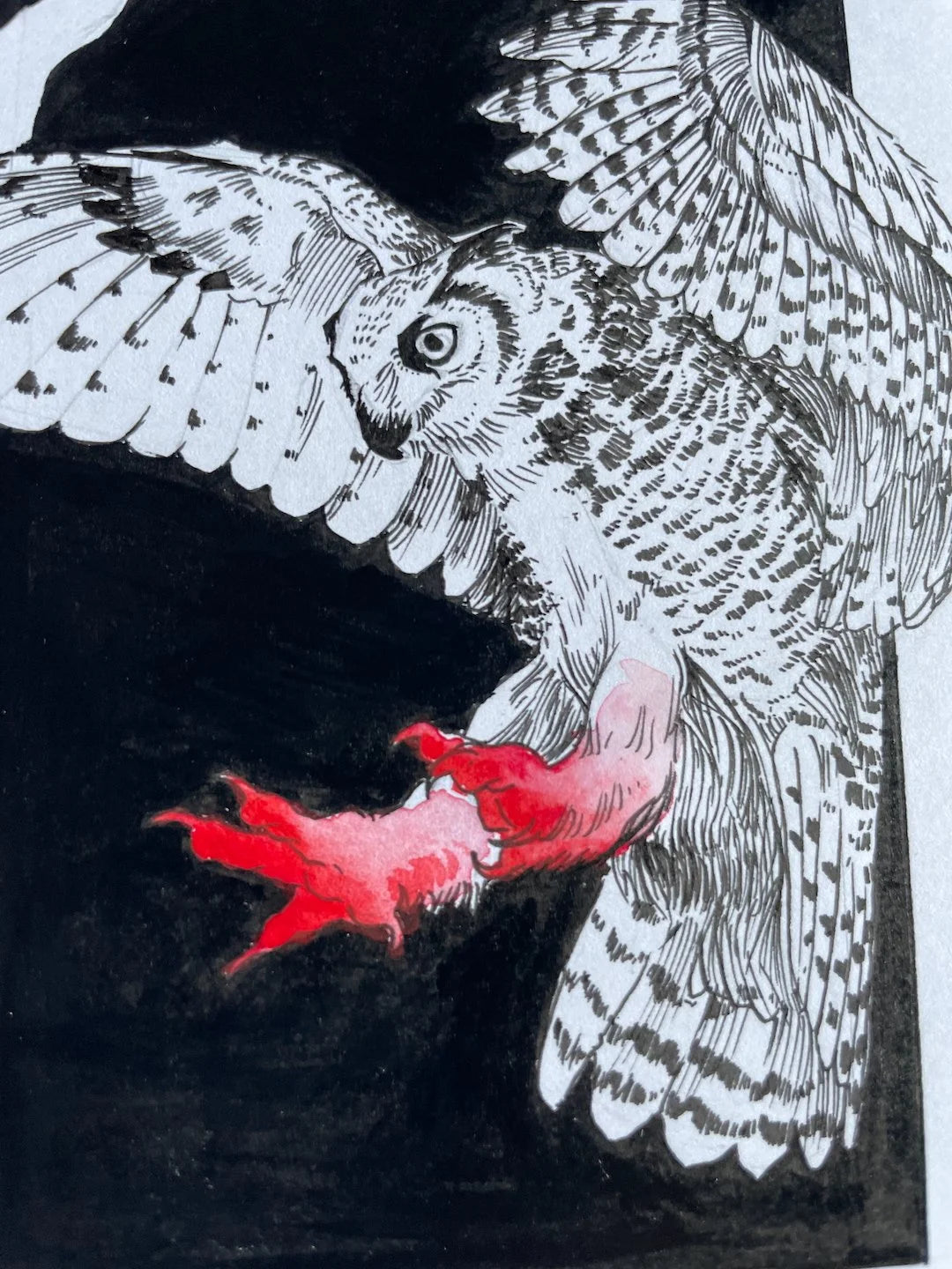 Zooctober 2024, Day 4: “Owl”