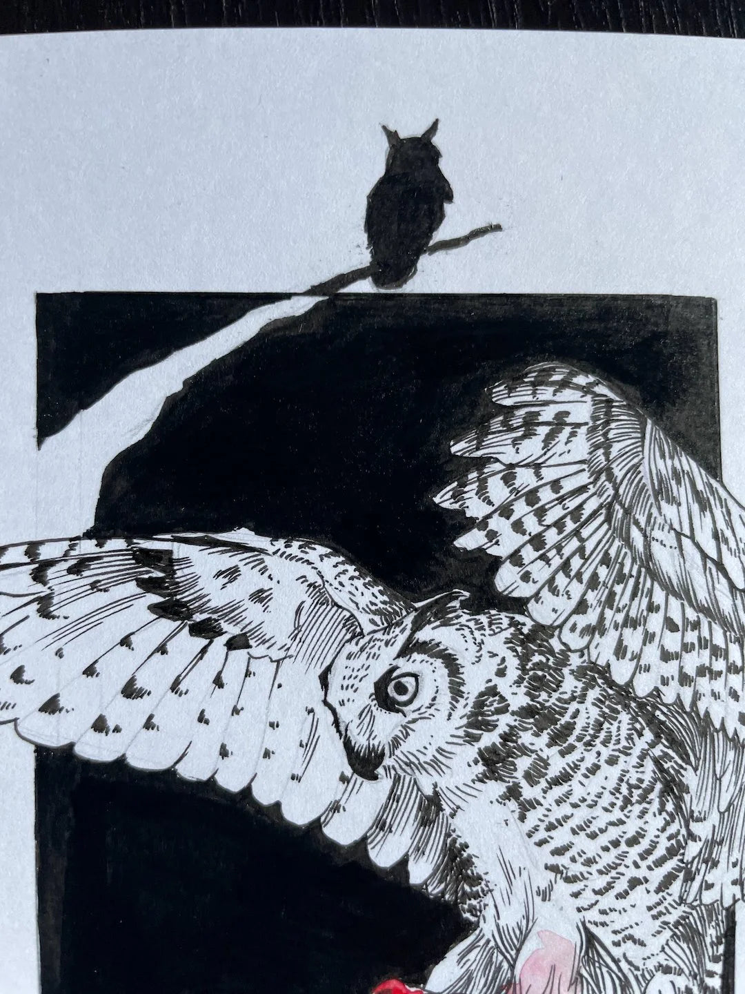 Zooctober 2024, Day 4: “Owl”