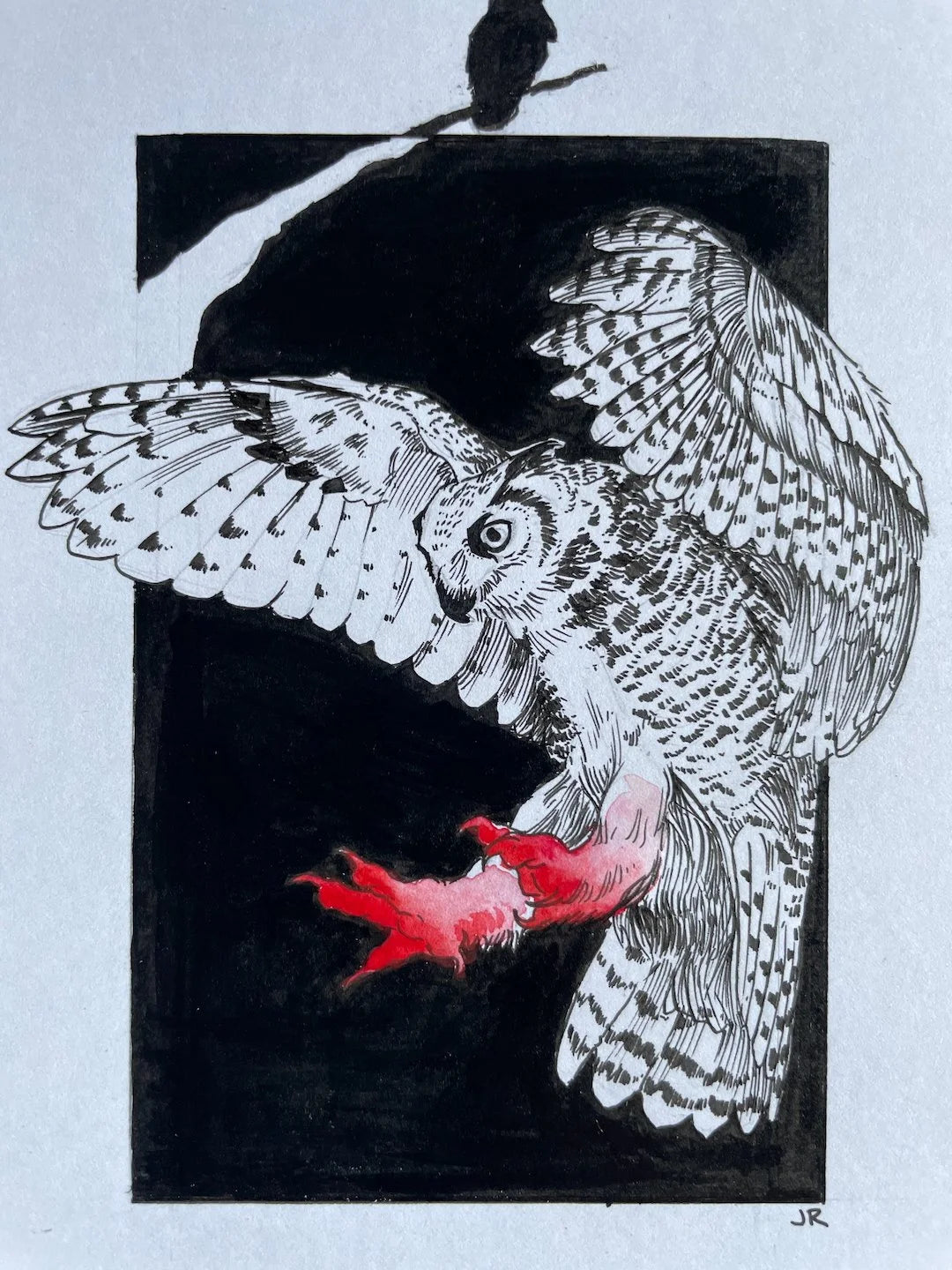 Zooctober 2024, Day 4: “Owl”