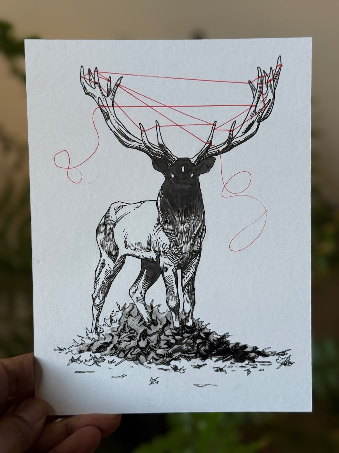 Zooctober 2025-Day 5: “Deer”
