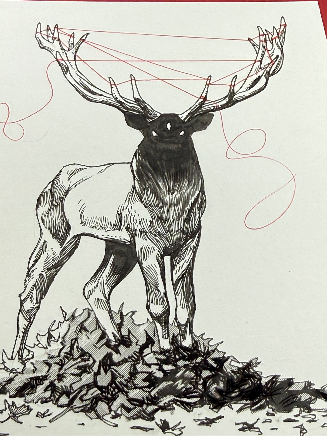 Zooctober 2025-Day 5: “Deer”