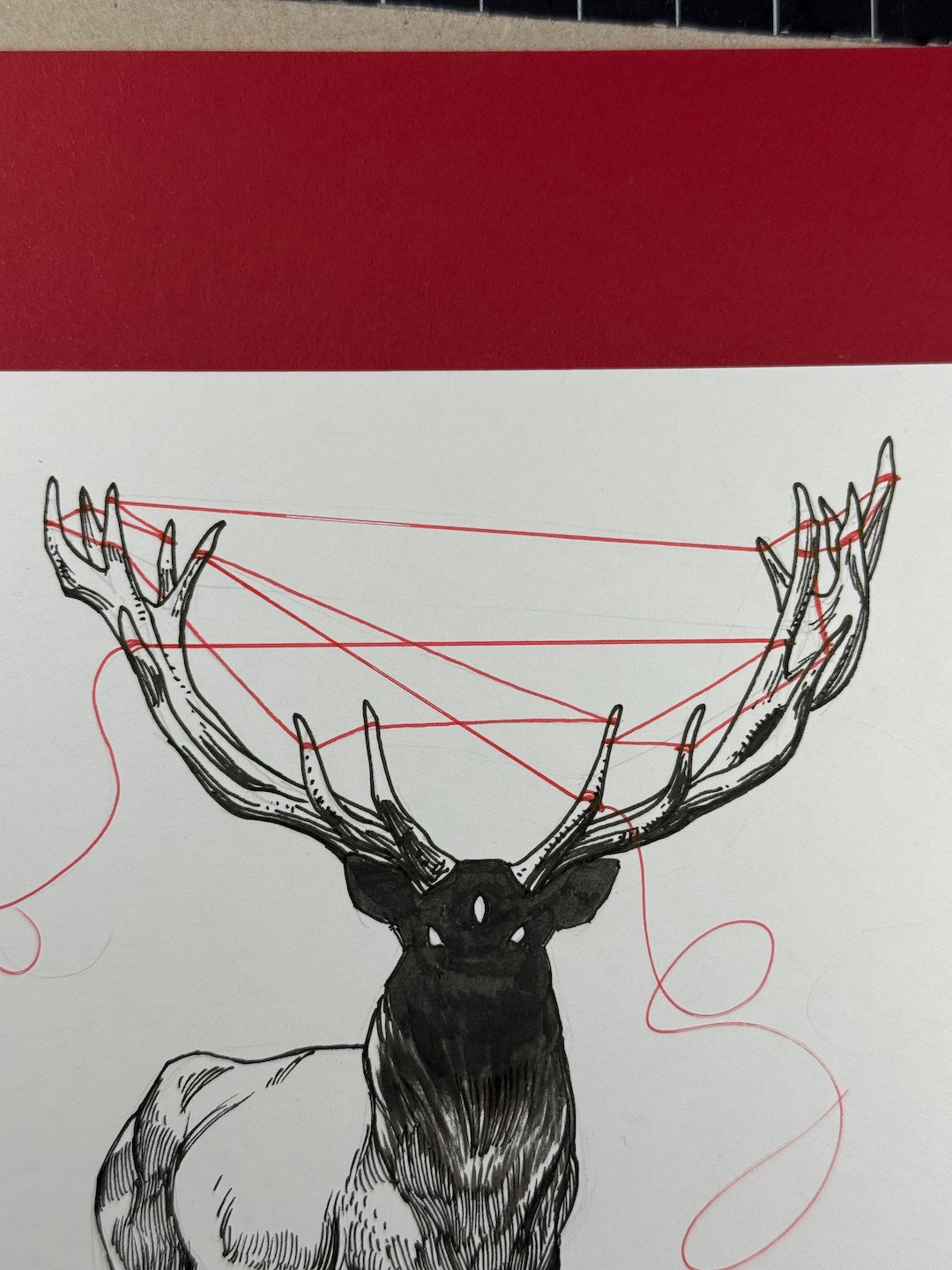 Zooctober 2025-Day 5: “Deer”