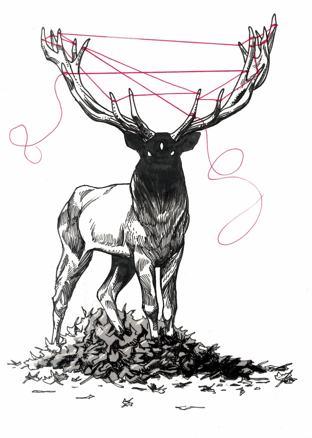 Zooctober 2025-Day 5: “Deer” (Print)