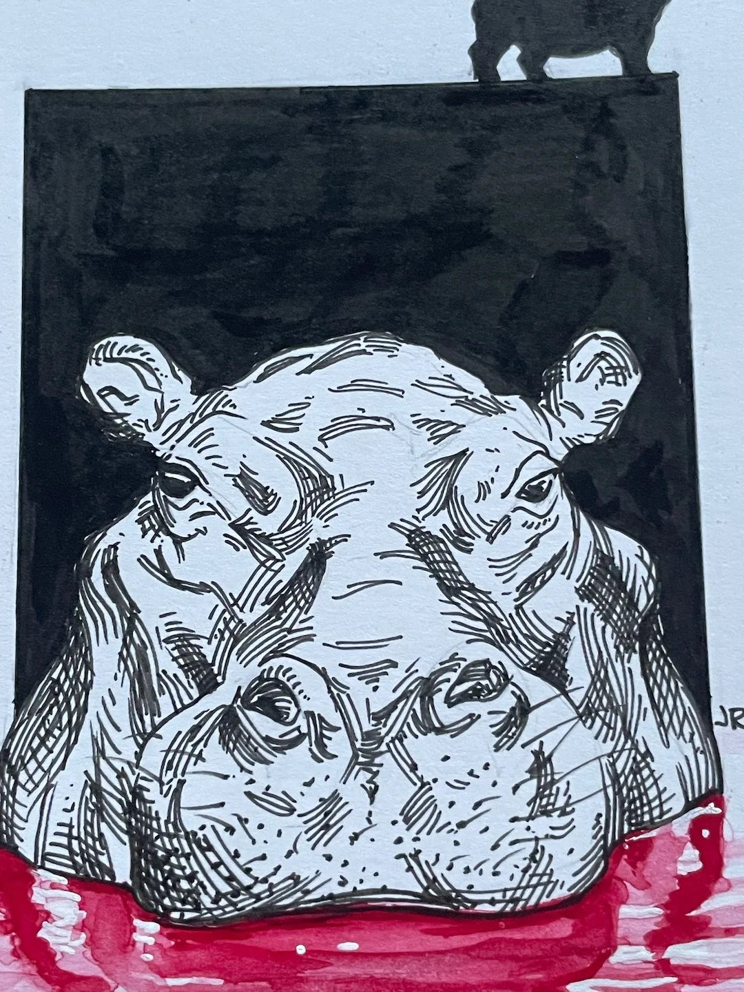 Zooctober 2024, Day 5: “Hippo”