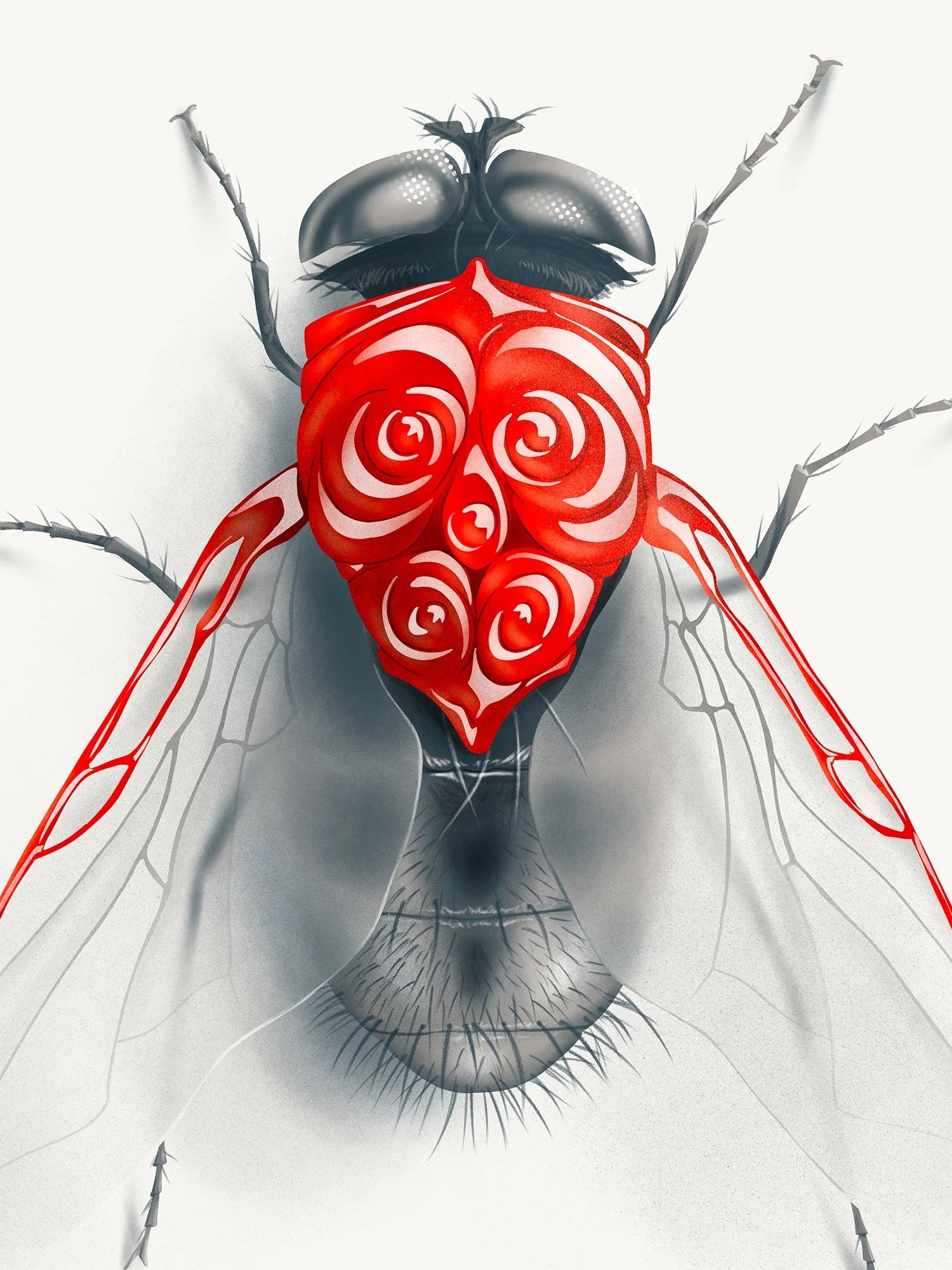 Fly (Candied Critters)