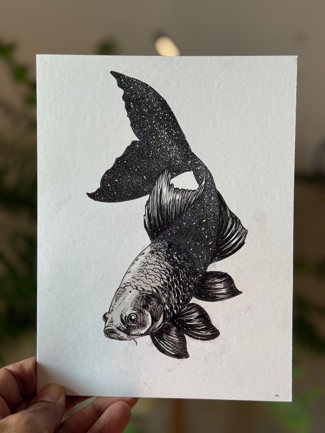 Zooctober 2025-Day 7: “Starfish”