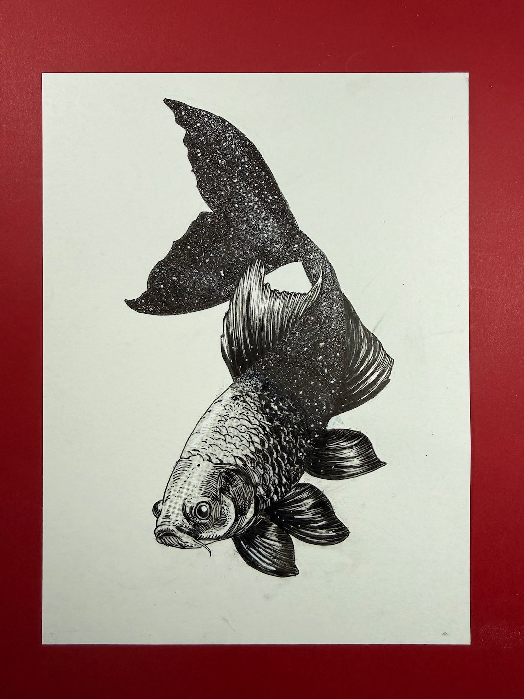 Zooctober 2025-Day 7: “Starfish”