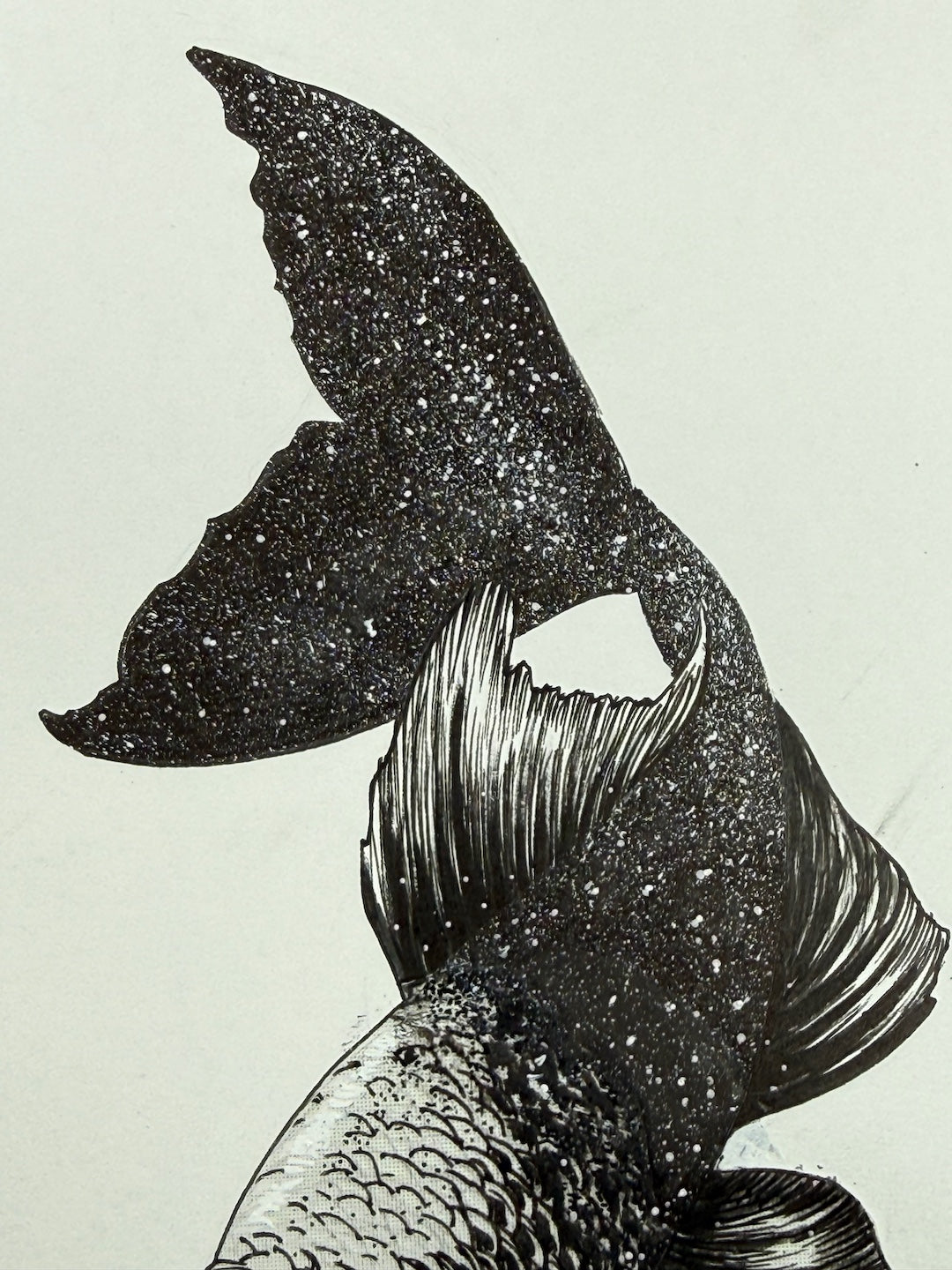 Zooctober 2025-Day 7: “Starfish”