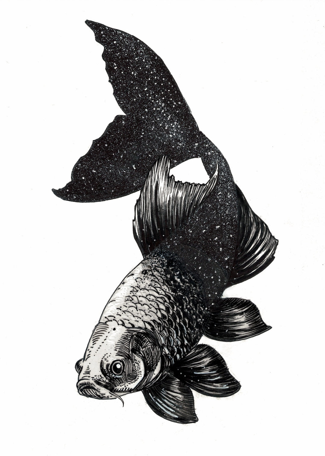 Zooctober 2025-Day 7: “Starfish”(Print)