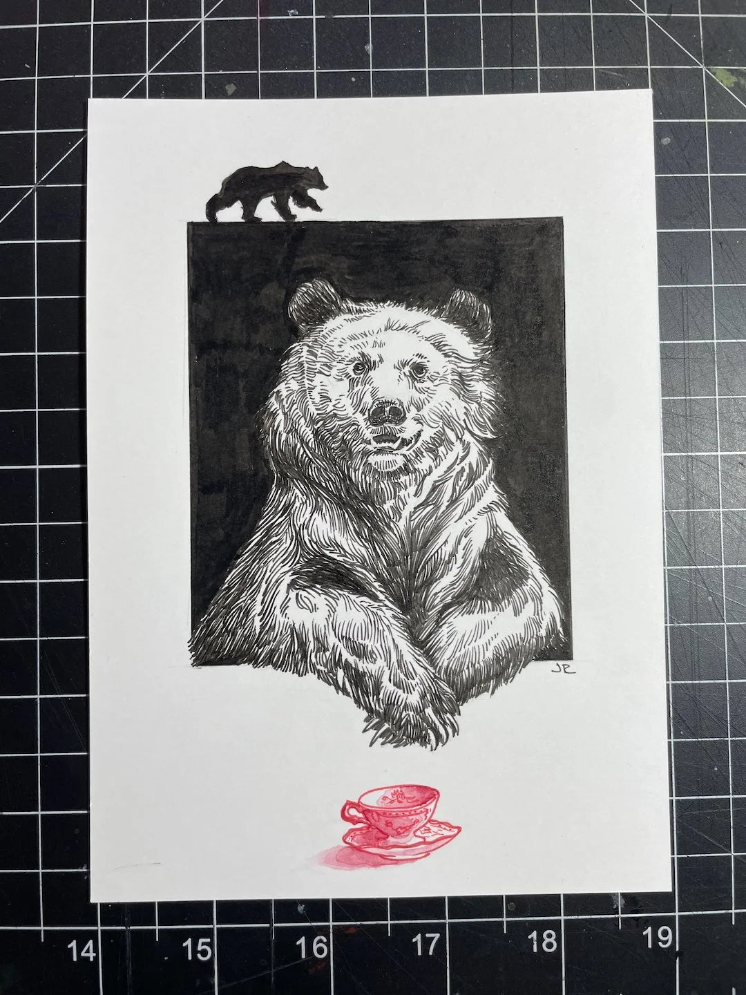 Zooctober 2024, Day 7: “Bear”