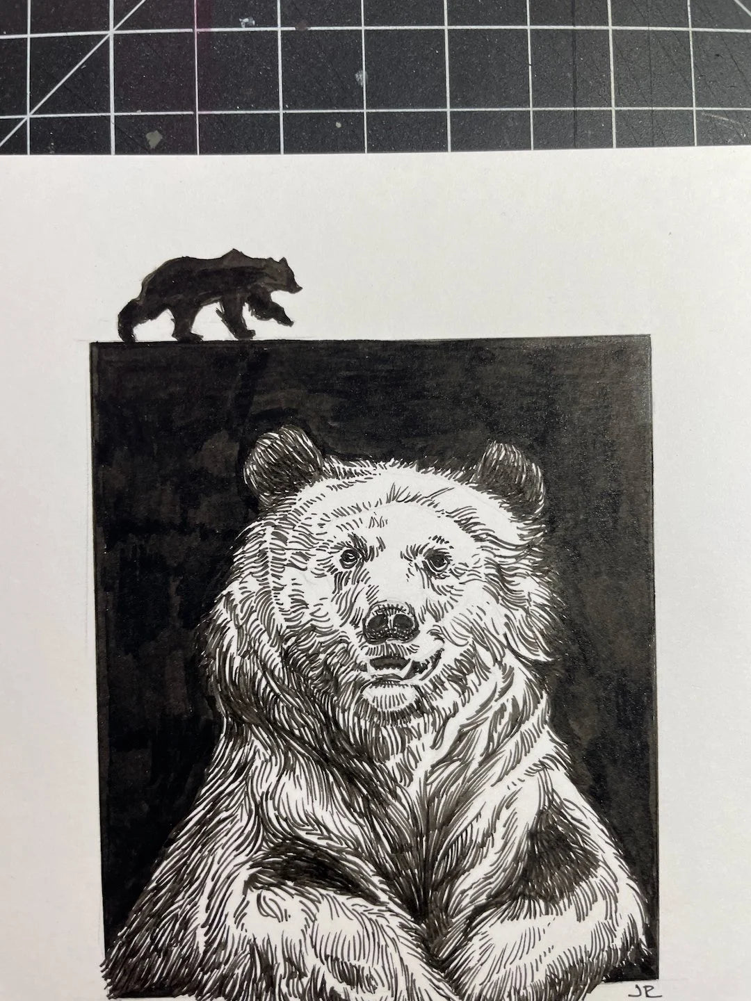 Zooctober 2024, Day 7: “Bear”