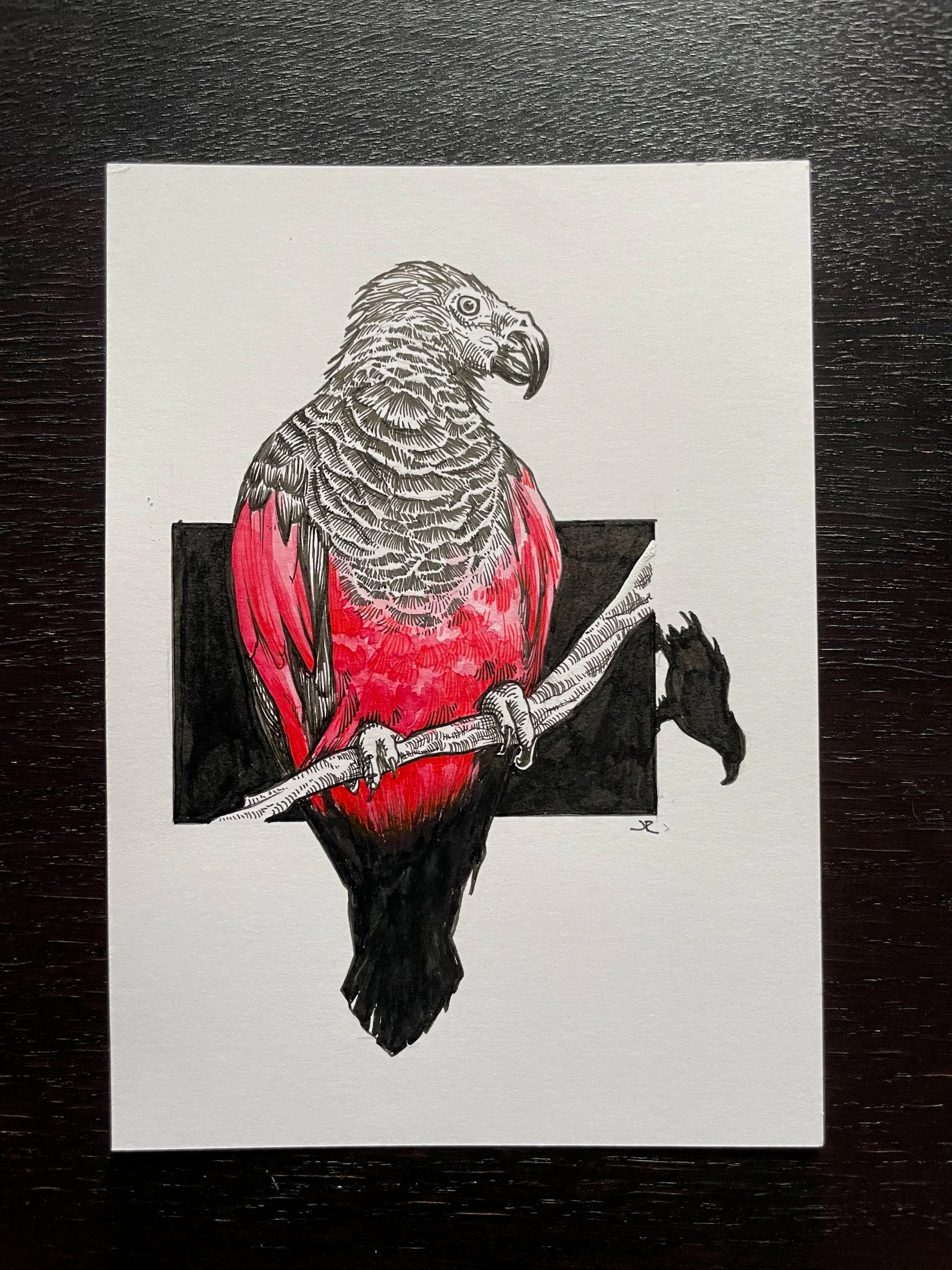 Zooctober 2024, Day 8: “Dracula Parrot”