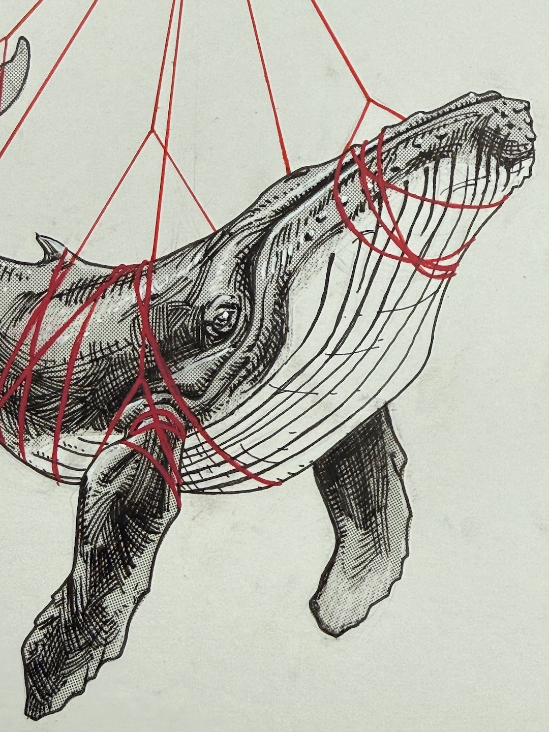 Zooctober 2025-Day 9: “Heavy”