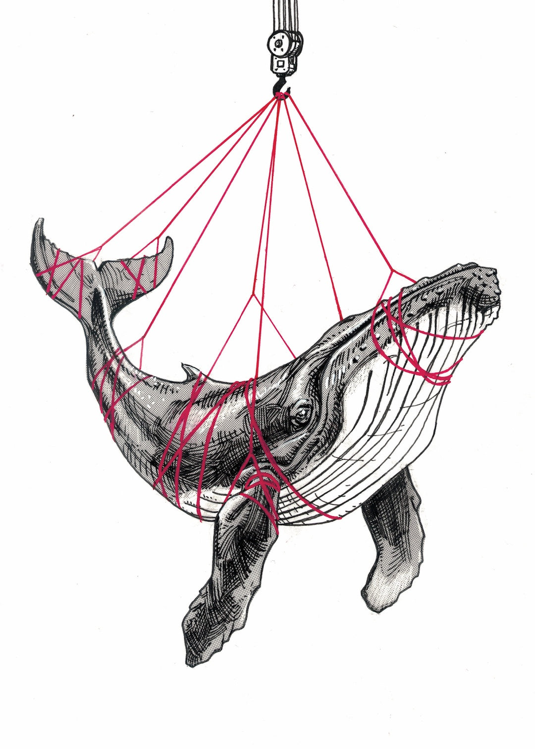 Zooctober 2025-Day 9: “Heavy” (Print)