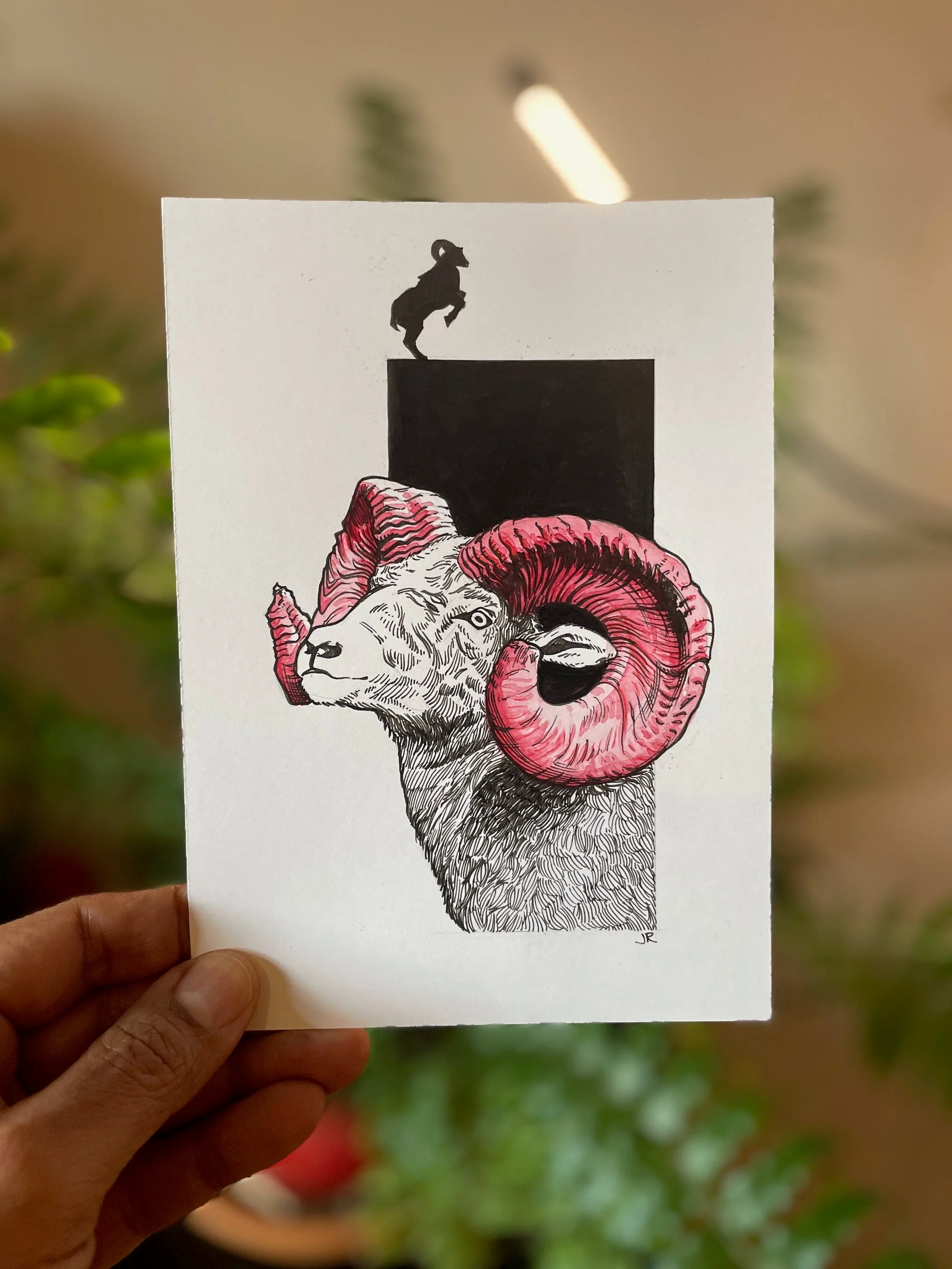 Zooctober 2024, Day 10: “Goat”