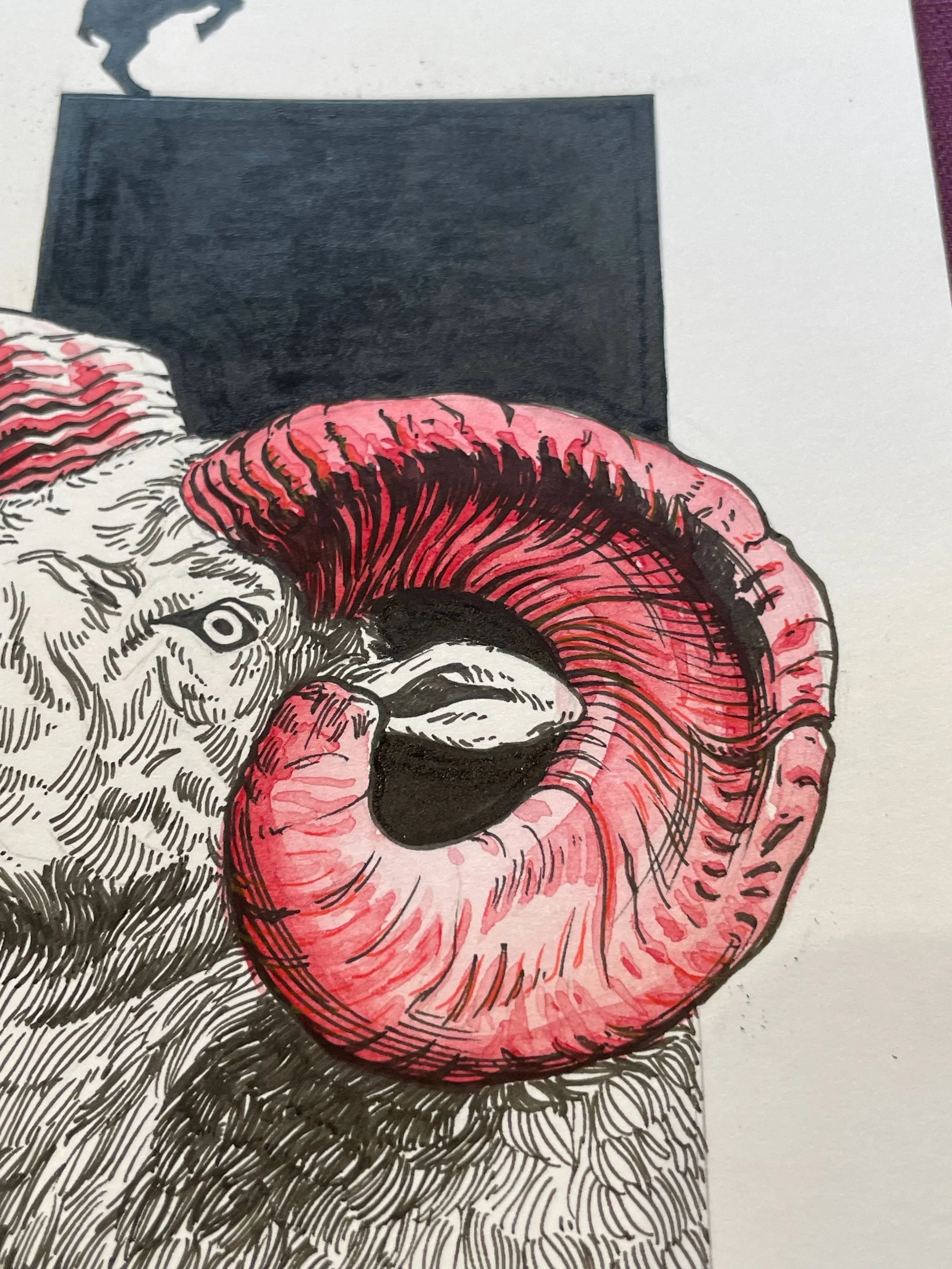 Zooctober 2024, Day 10: “Goat”