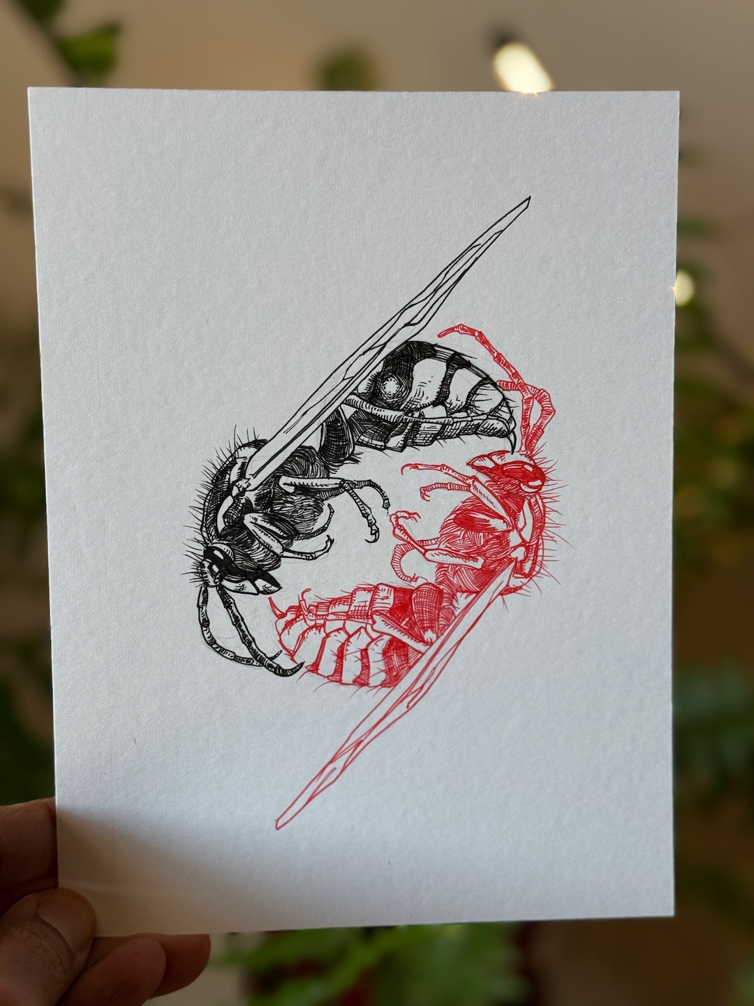 Zooctober 2025-Day 11: “Sting”