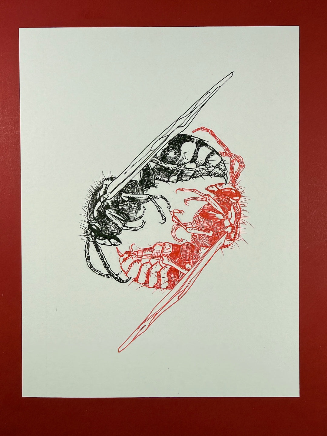 Zooctober 2025-Day 11: “Sting”