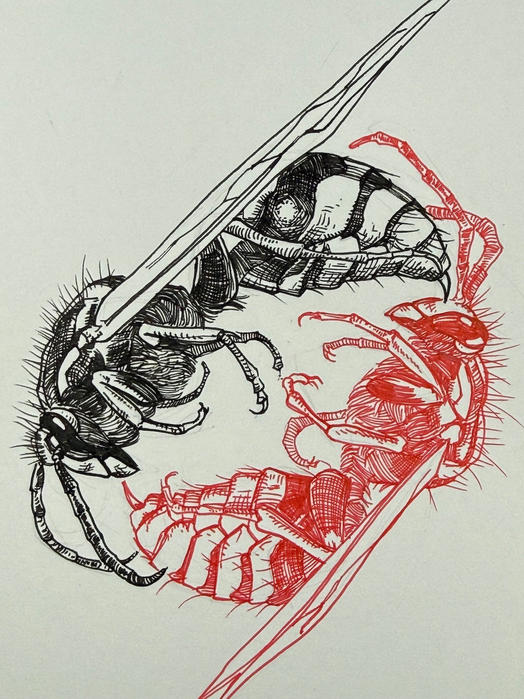 Zooctober 2025-Day 11: “Sting”