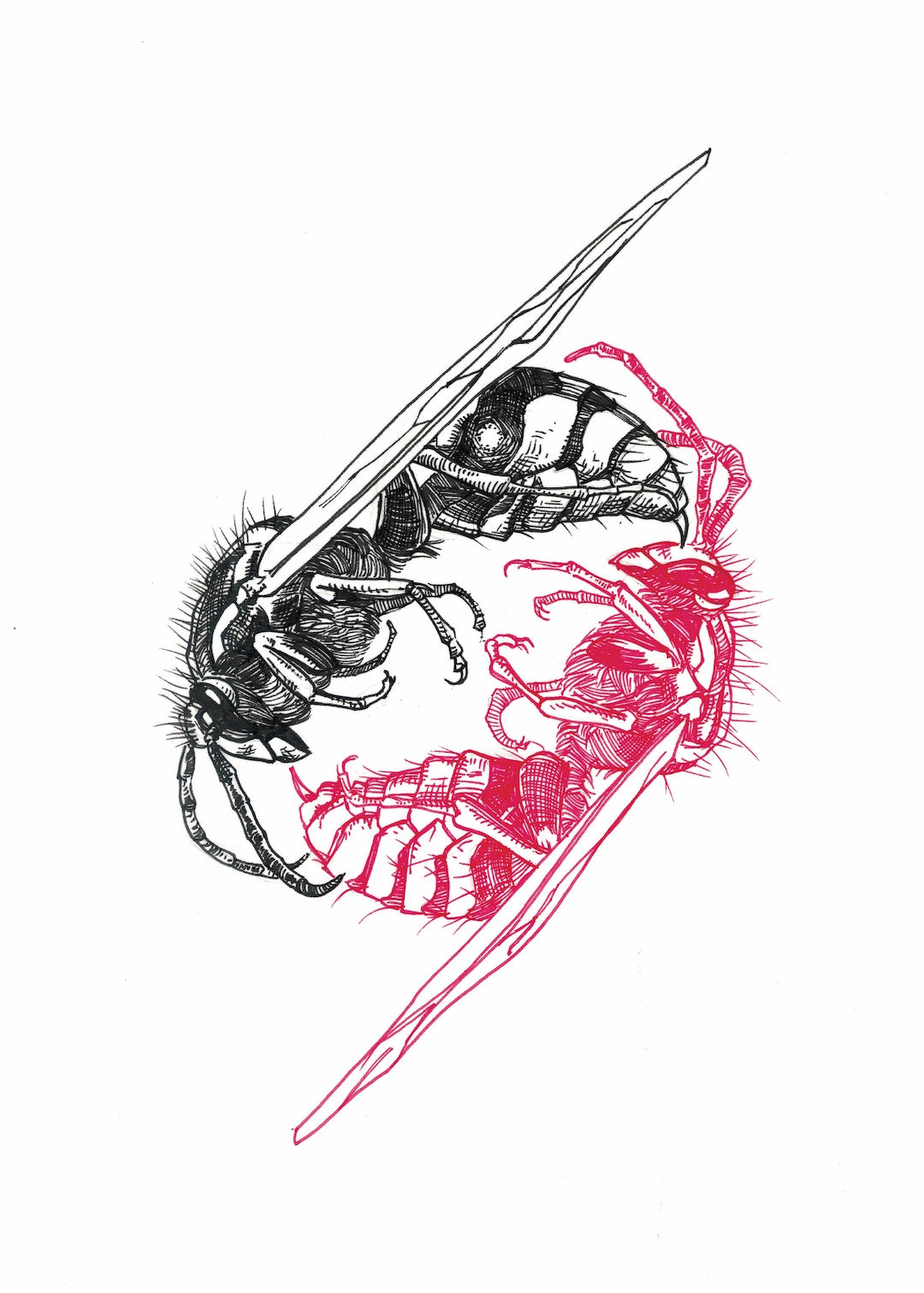 Zooctober 2025-Day 11: “Sting” (Print)