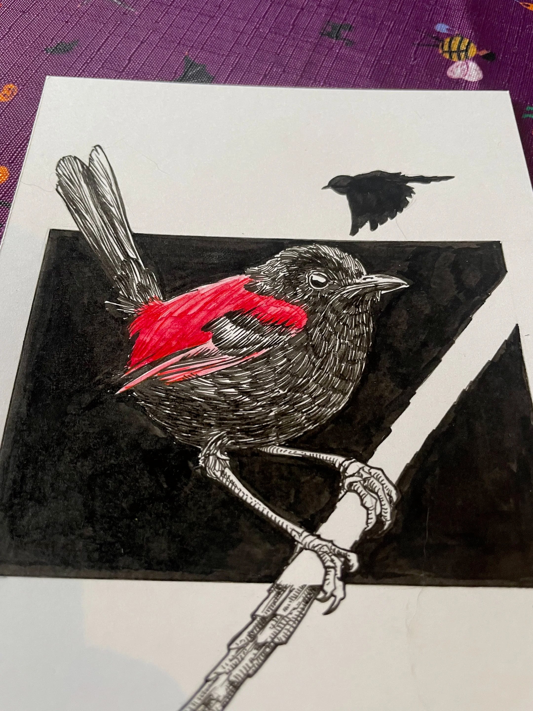 Zooctober 2024, Day 11: “Red-Backed Fairy Wren”