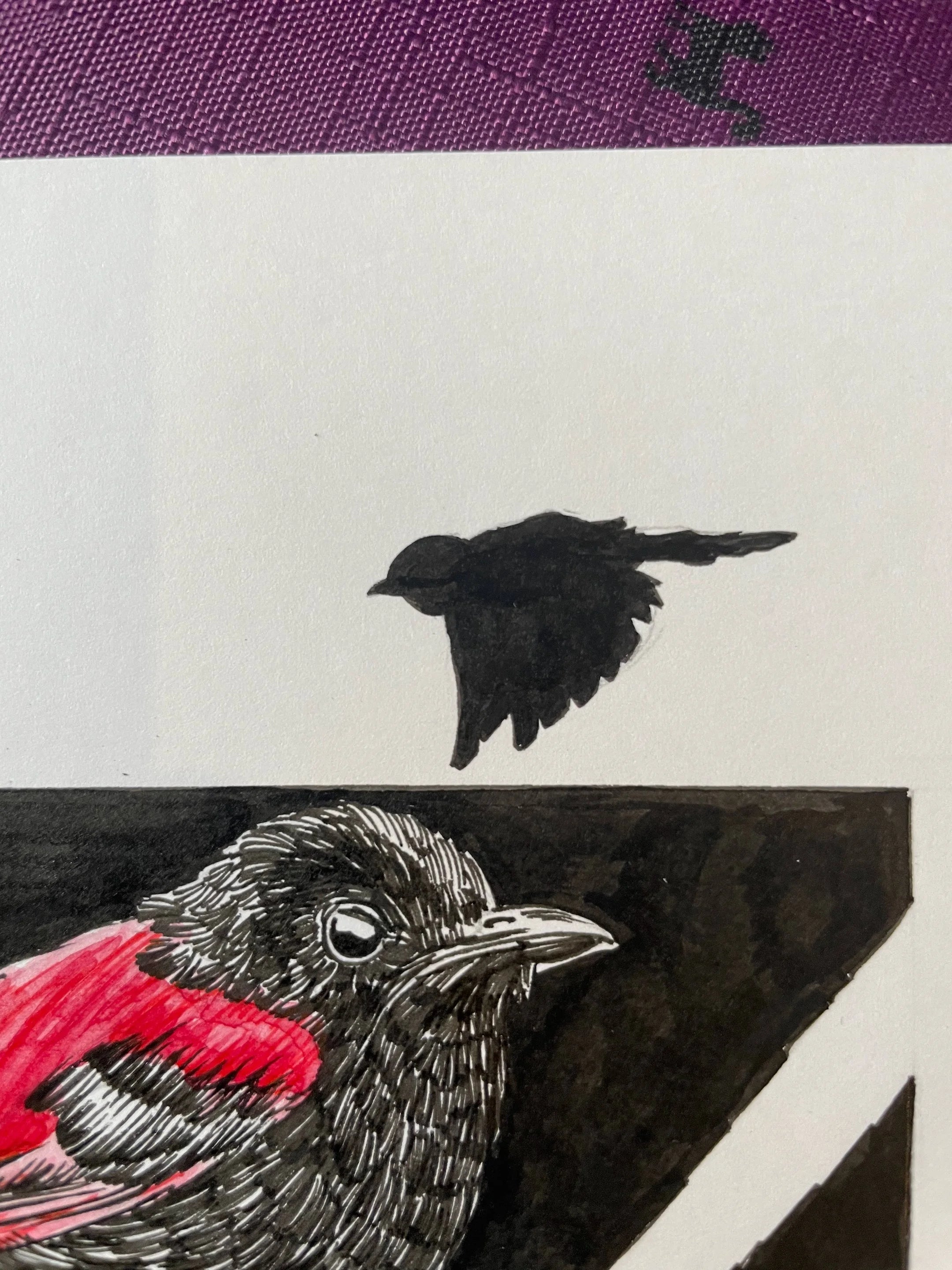 Zooctober 2024, Day 11: “Red-Backed Fairy Wren”