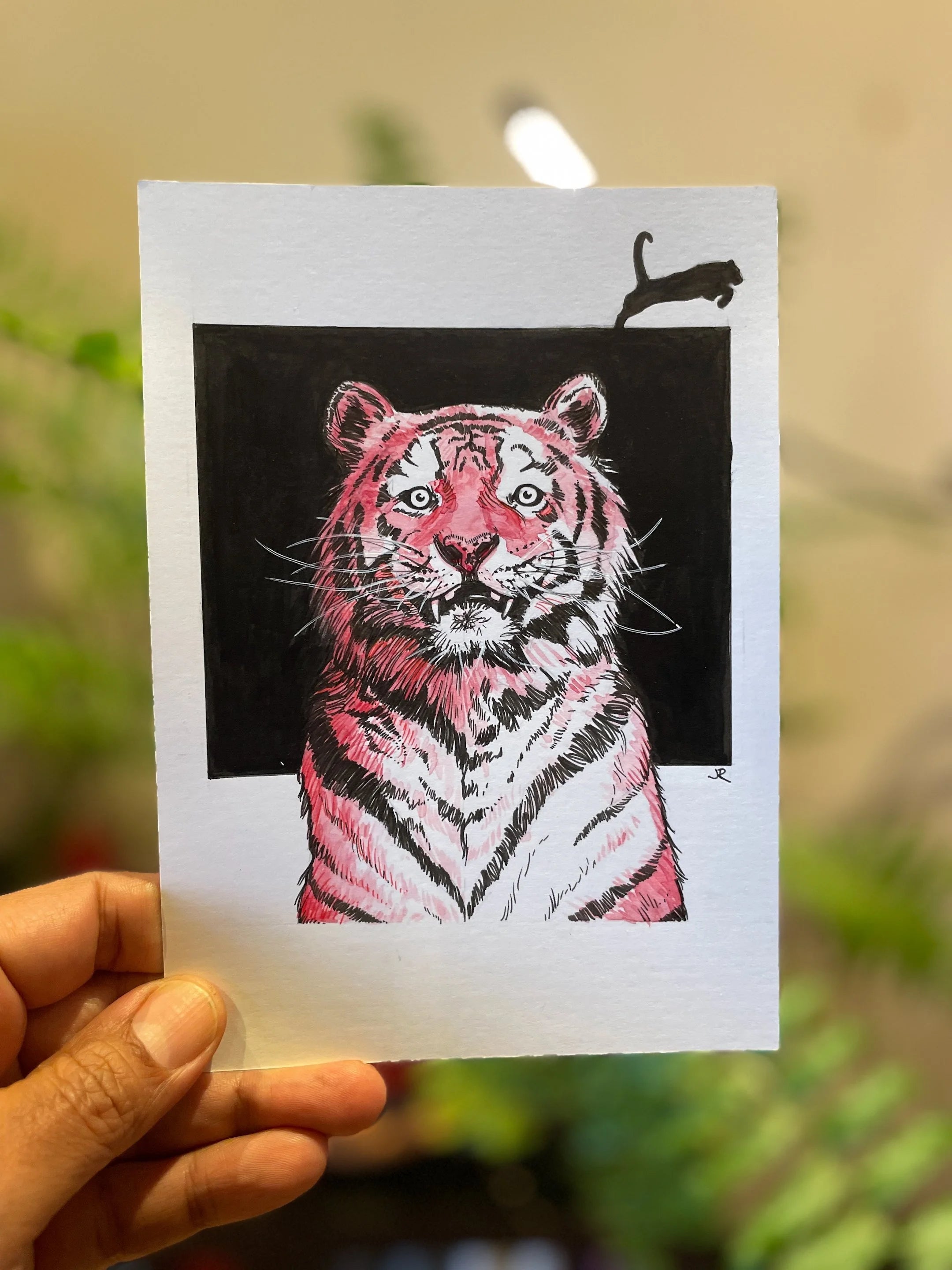 Zooctober 2024, Day 12: “Tiger”