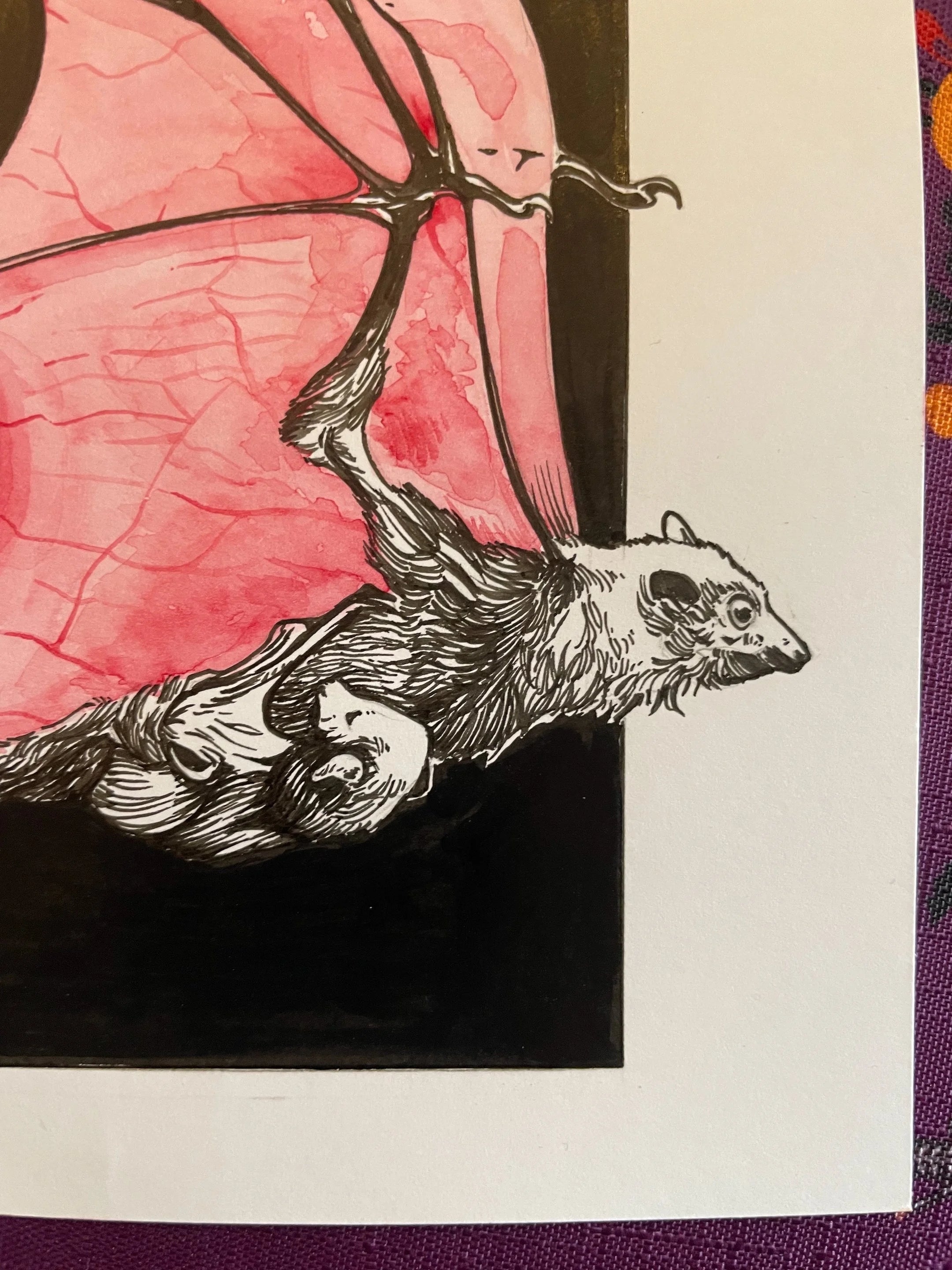 Zooctober 2024, Day 13: “Bat”