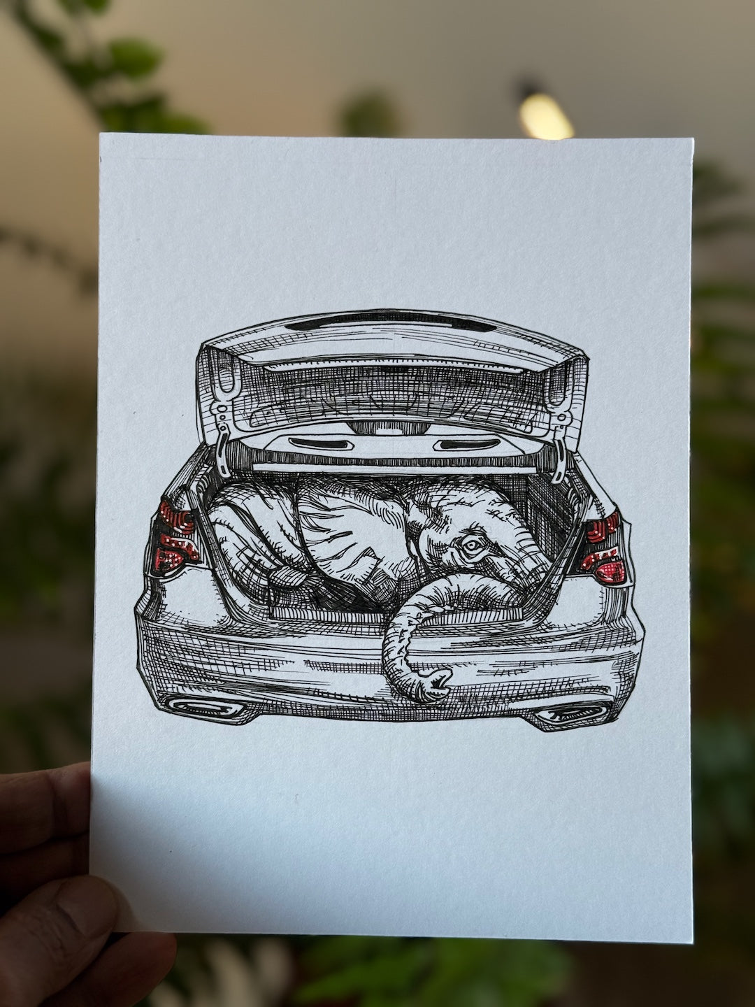 Zooctober 2025-Day 14: “Trunk”