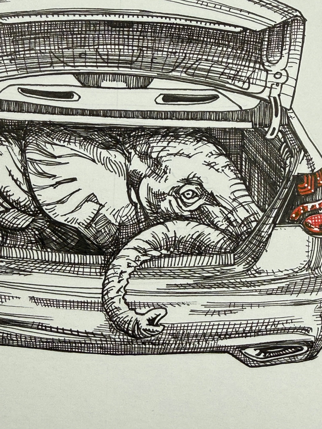 Zooctober 2025-Day 14: “Trunk”