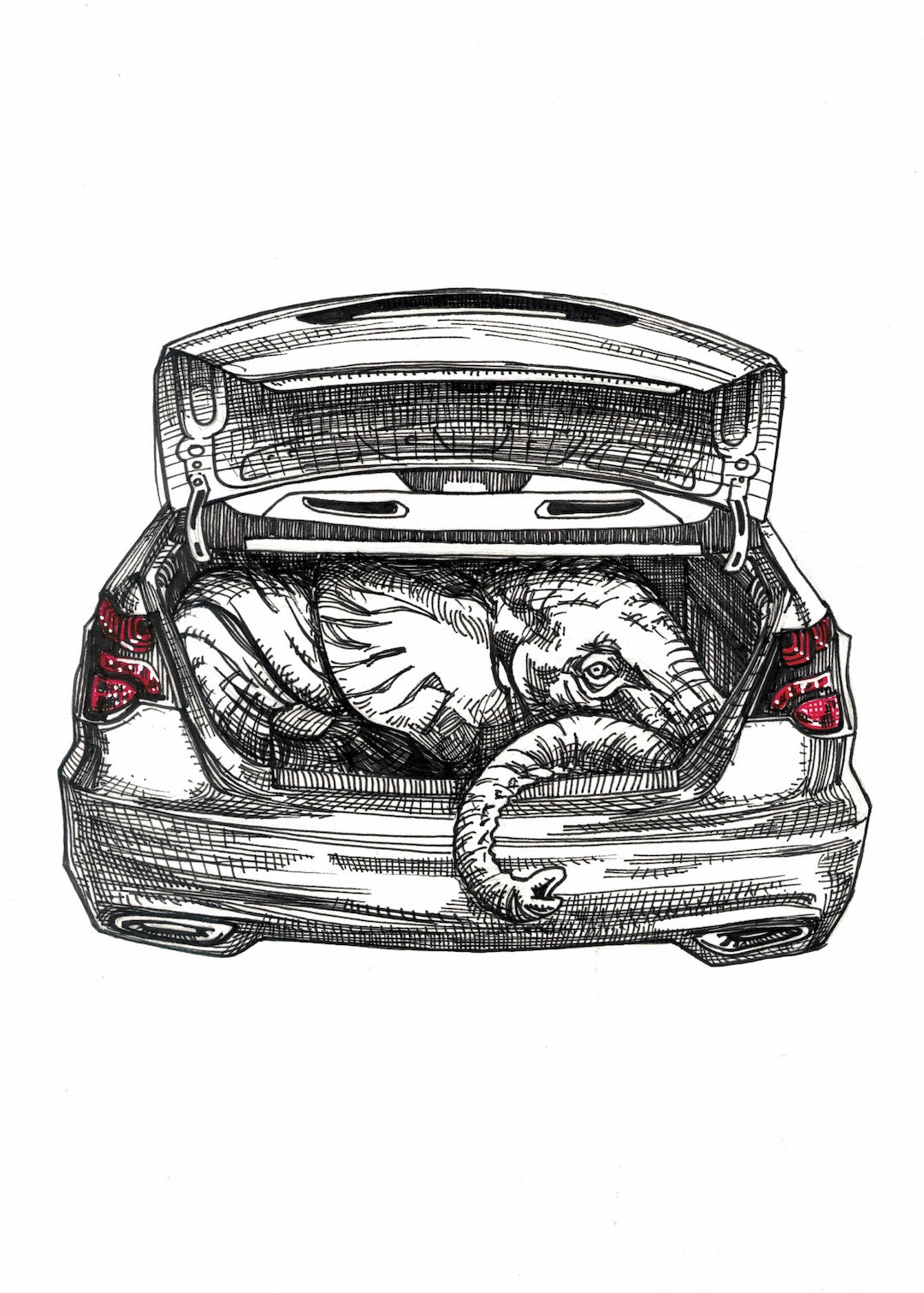 Zooctober 2025-Day 14: “Trunk” (Print)