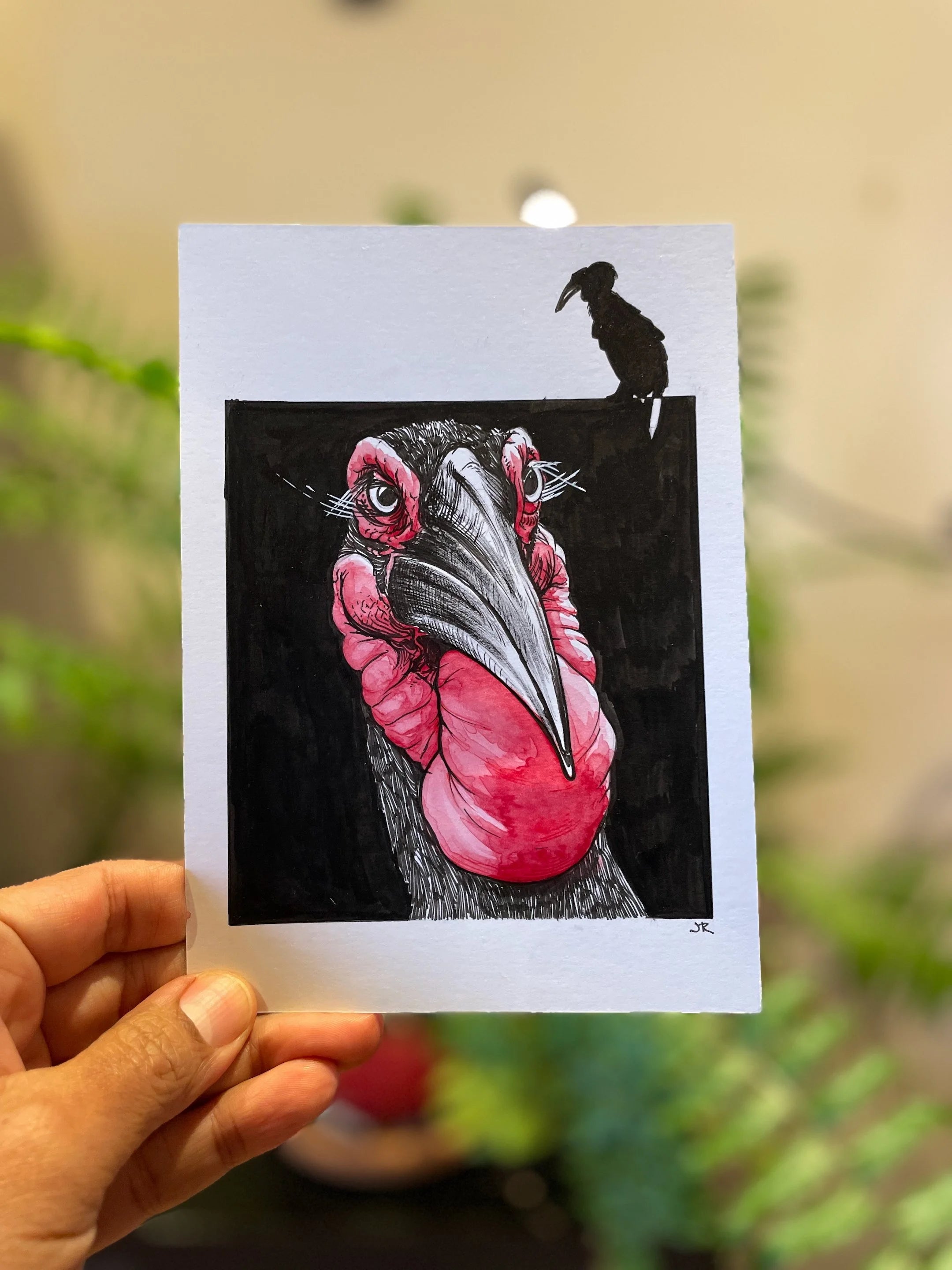 Zooctober 2024, Day 14: “Hornbill”