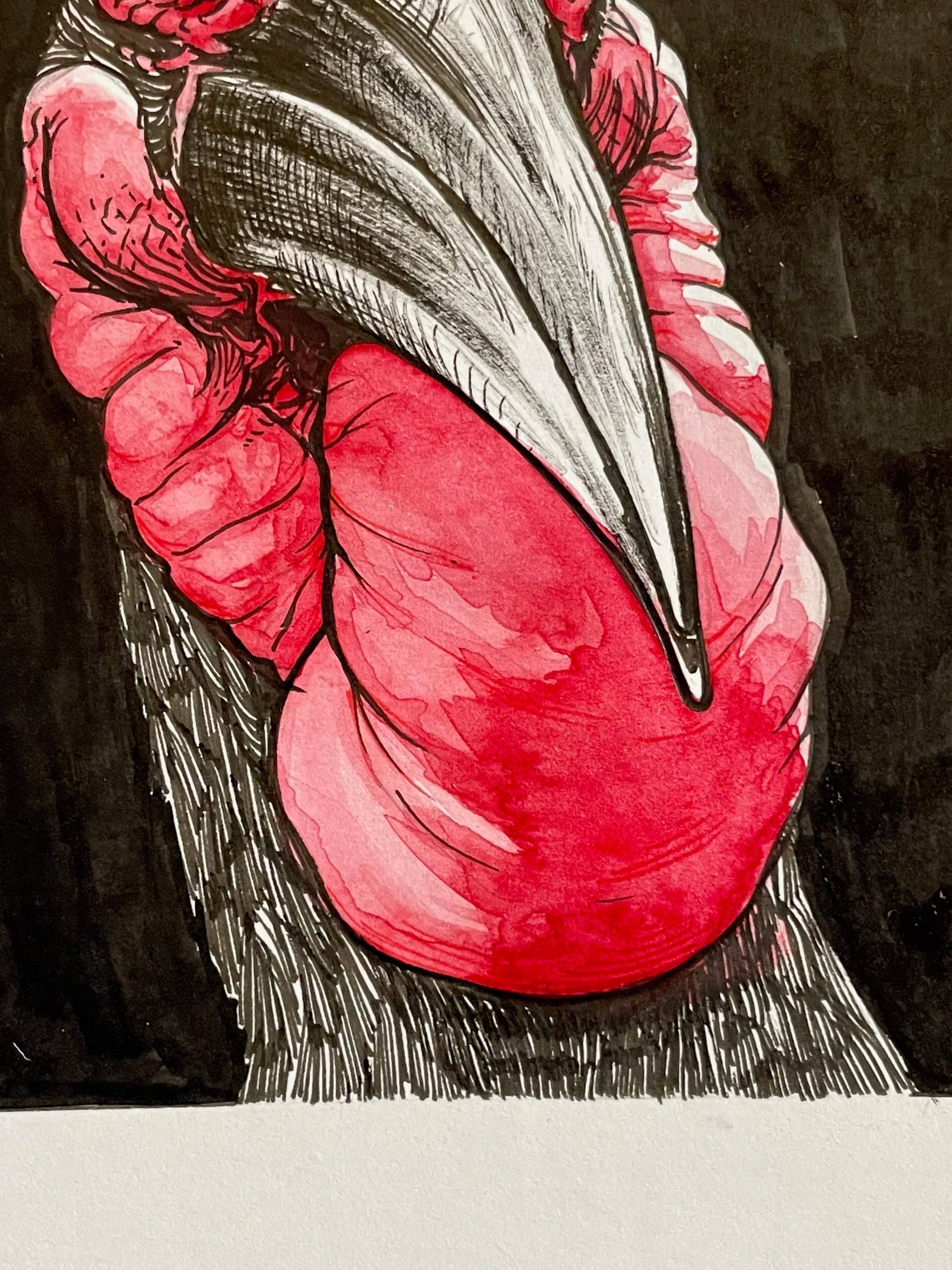 Zooctober 2024, Day 14: “Hornbill”